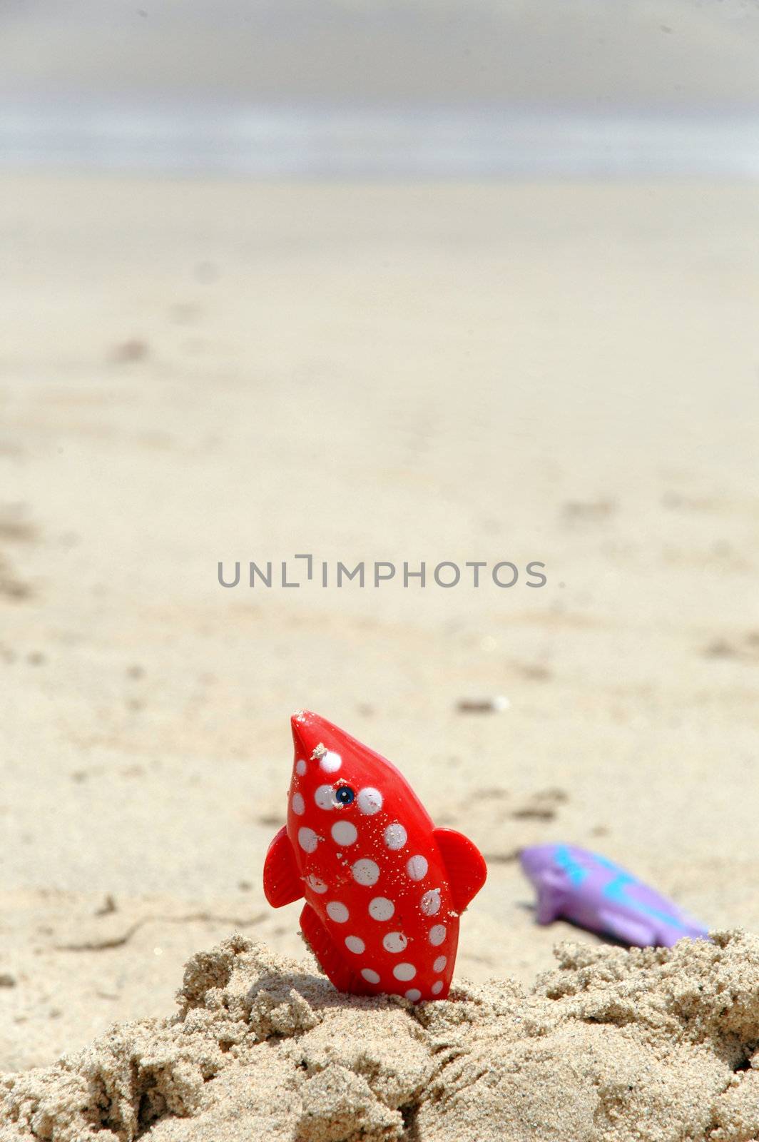 Toys on the beach