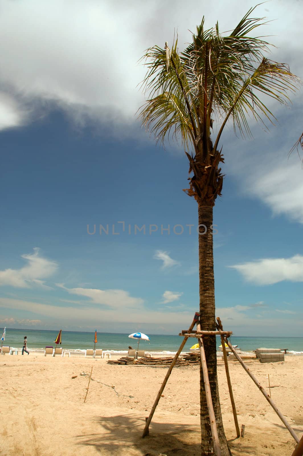 Beach and palmtree by cfoto