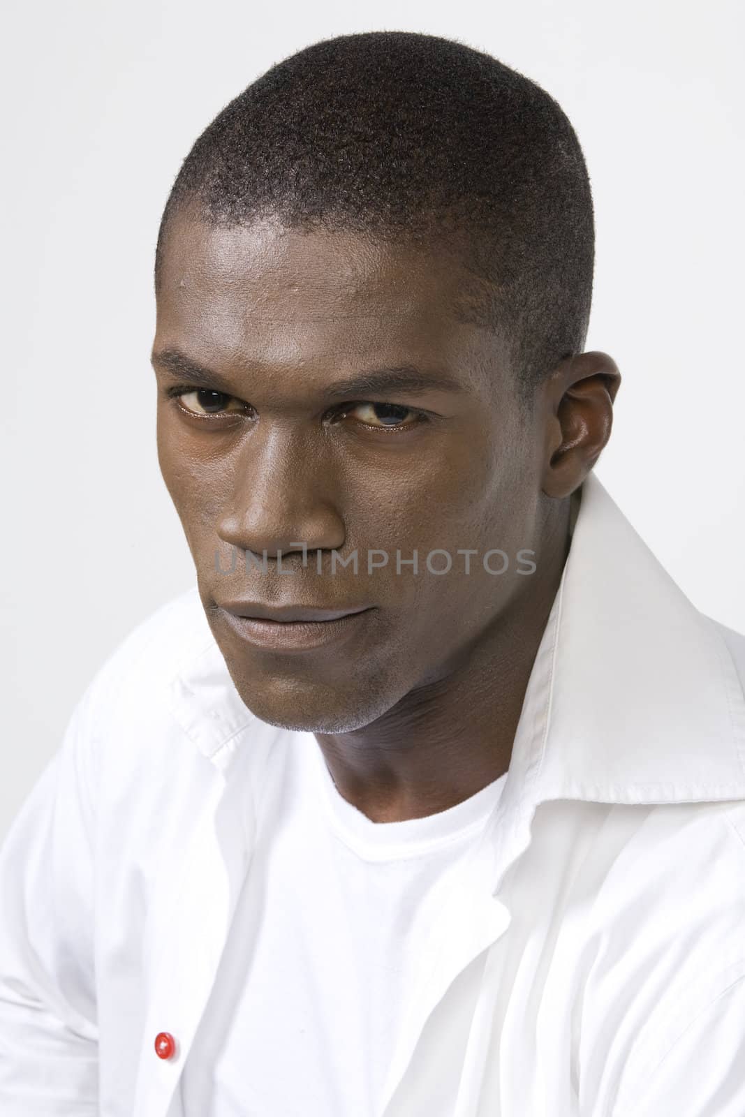 Studio Portraits - African American