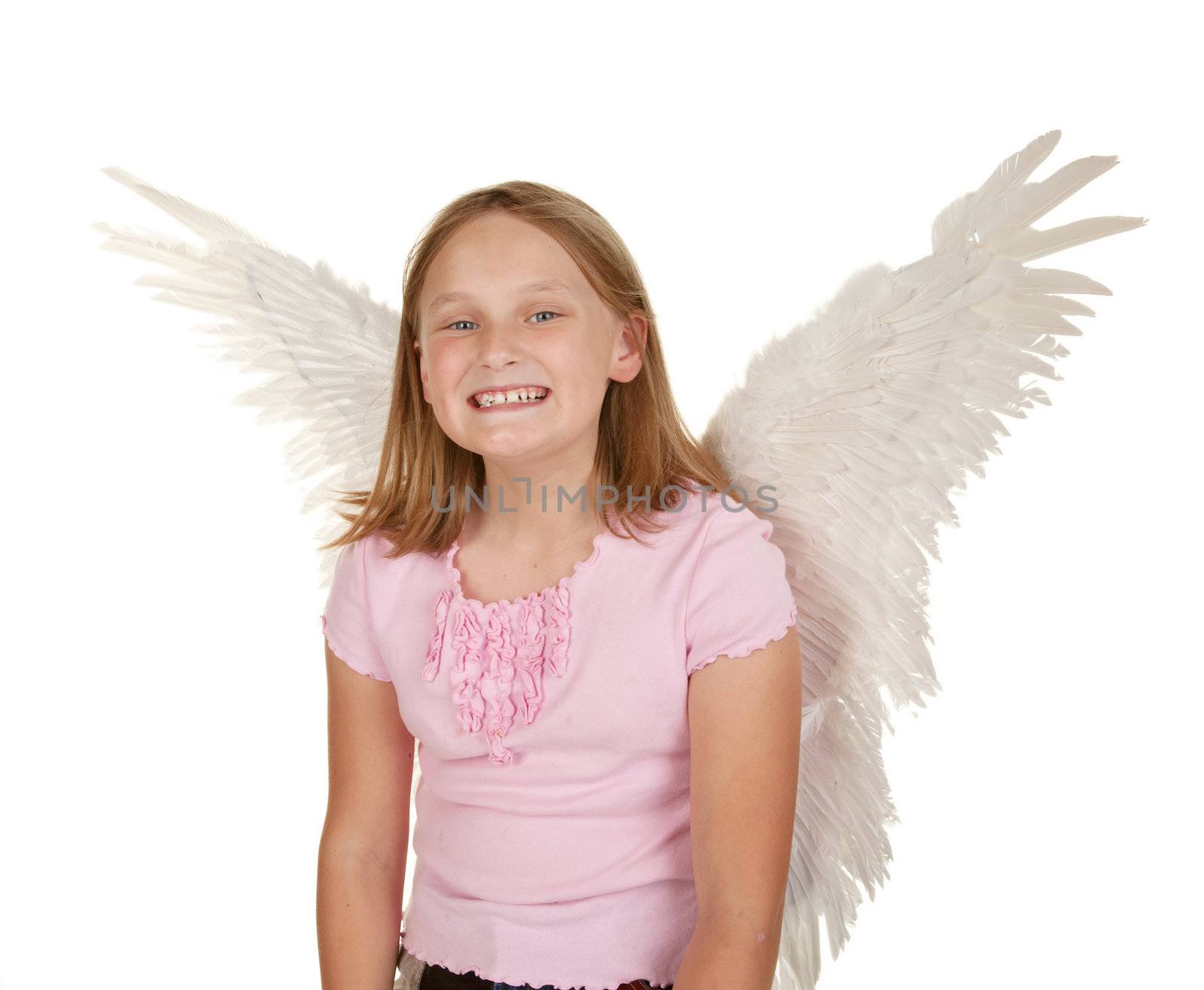 young girl with angel wings  isolated on white