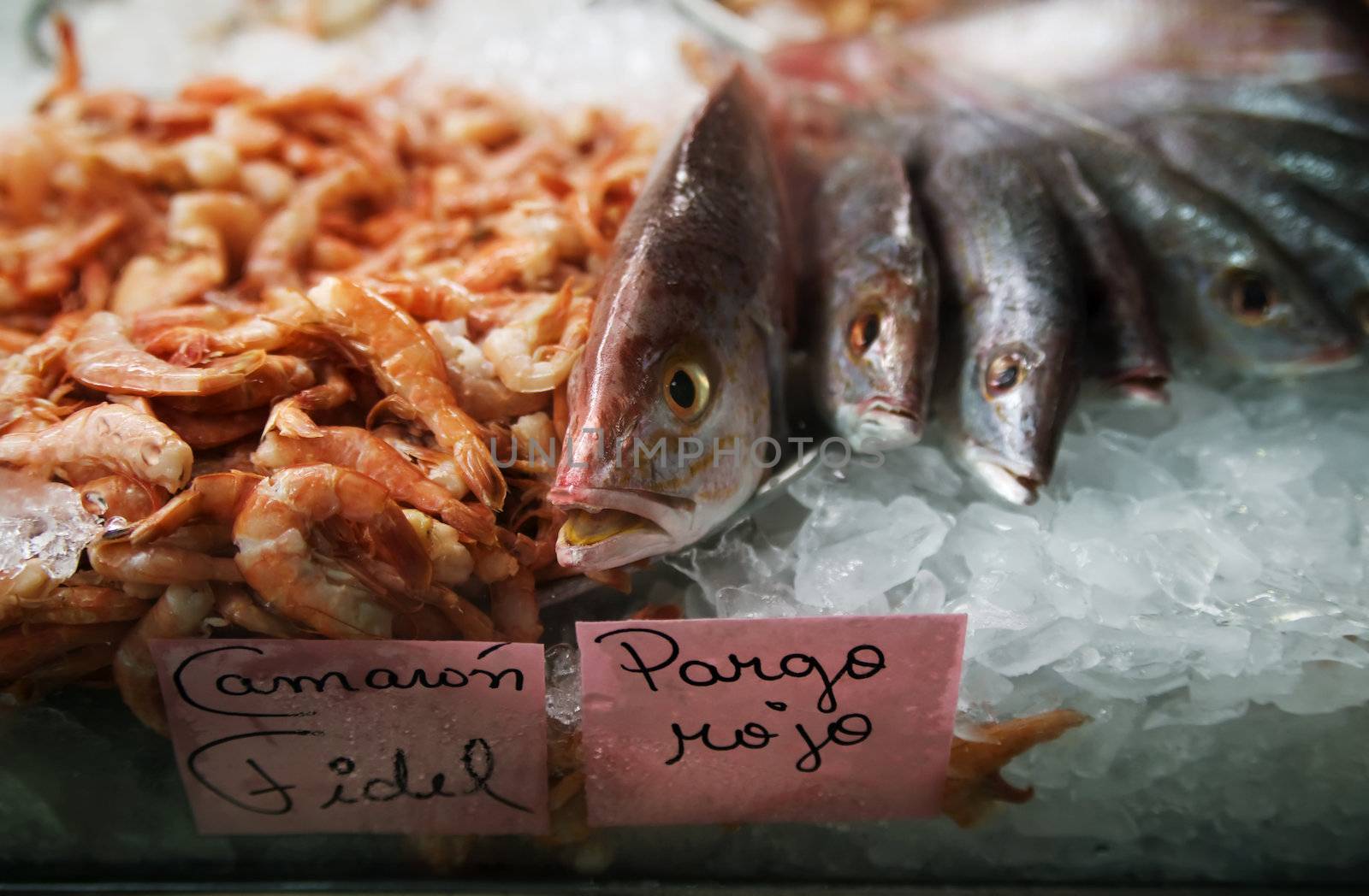 Fish in ice at a market by Creatista