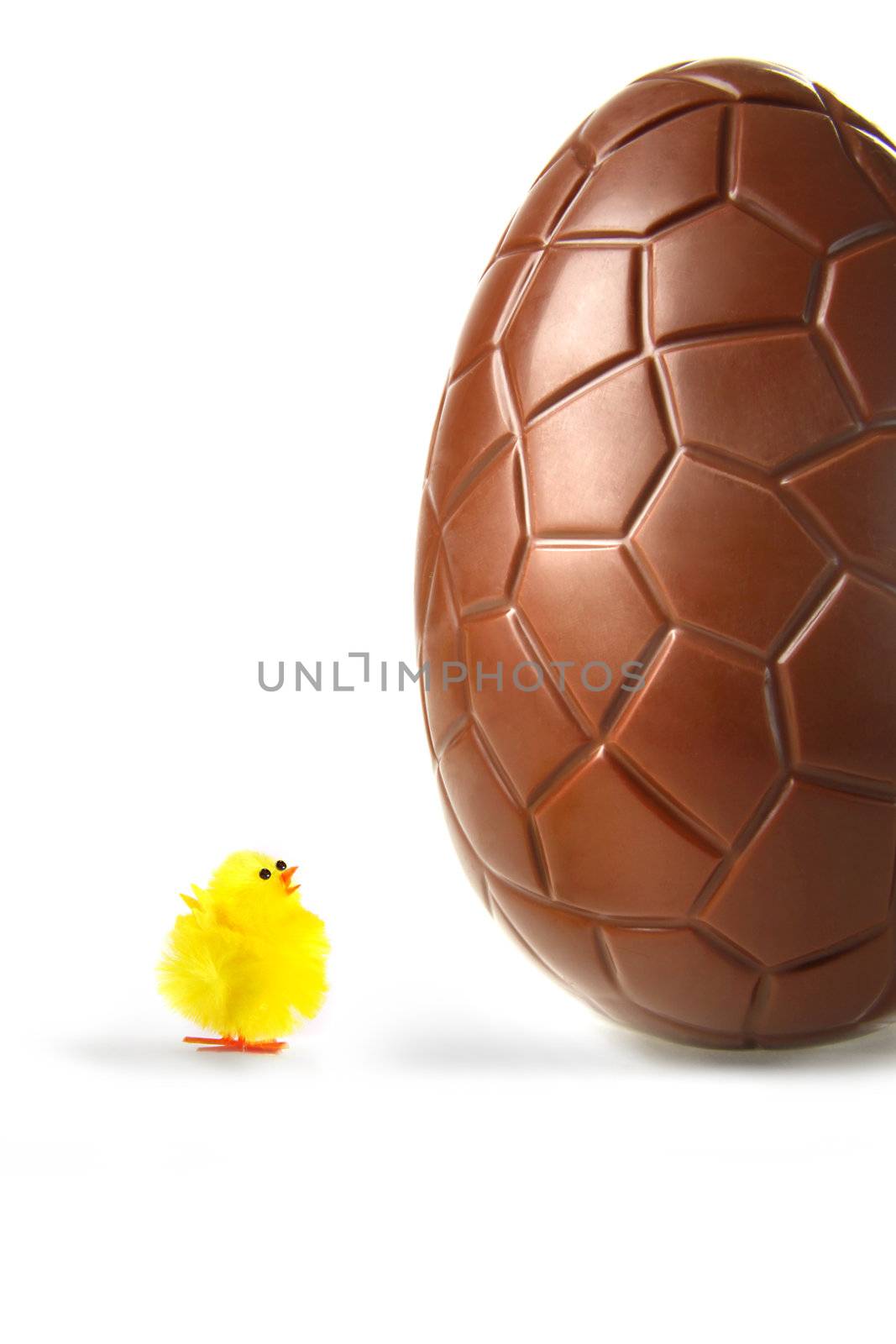 Little easter chick looking up at big chocolate egg