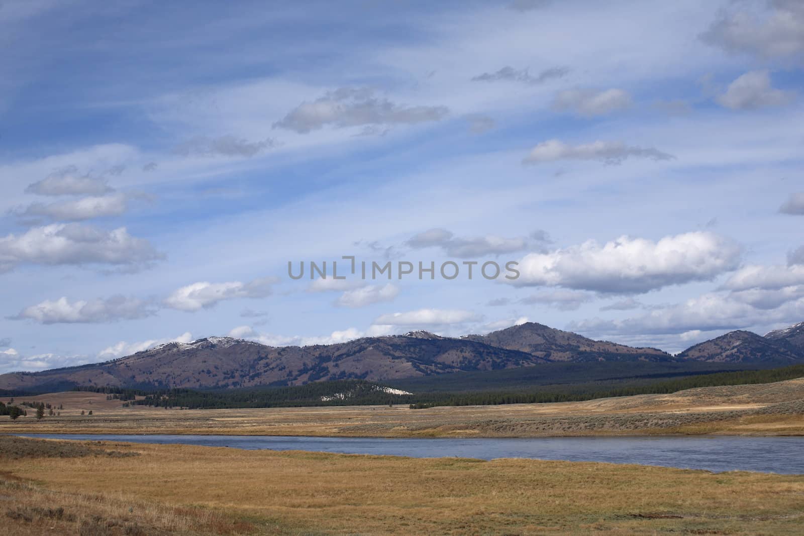 Yellowstone Landscape by Ffooter