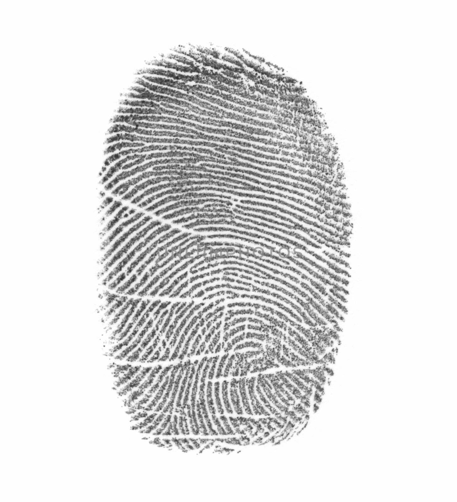 Fingerprint on a surface of a white paper