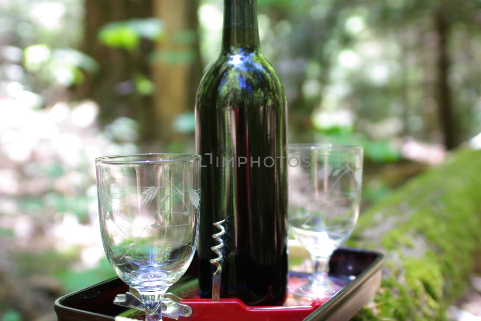 A bottle of wime, glasses and cork screw on a tray in a shallow depth of field.