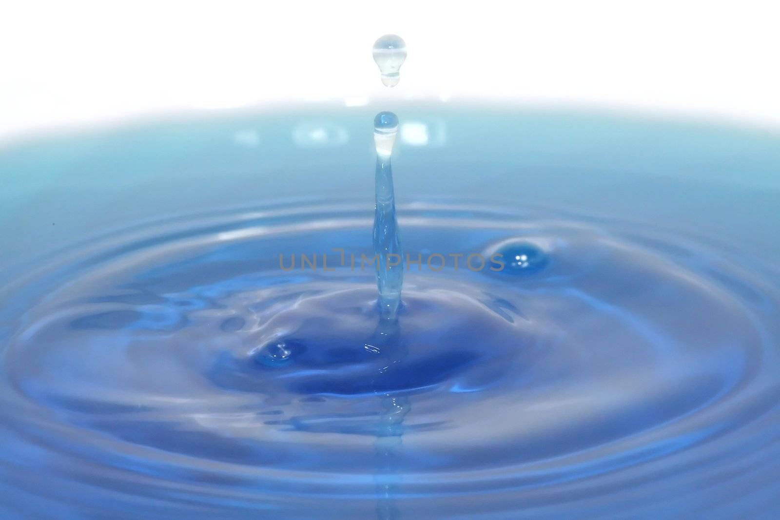 A water drop rising from a pool of water with ripples.