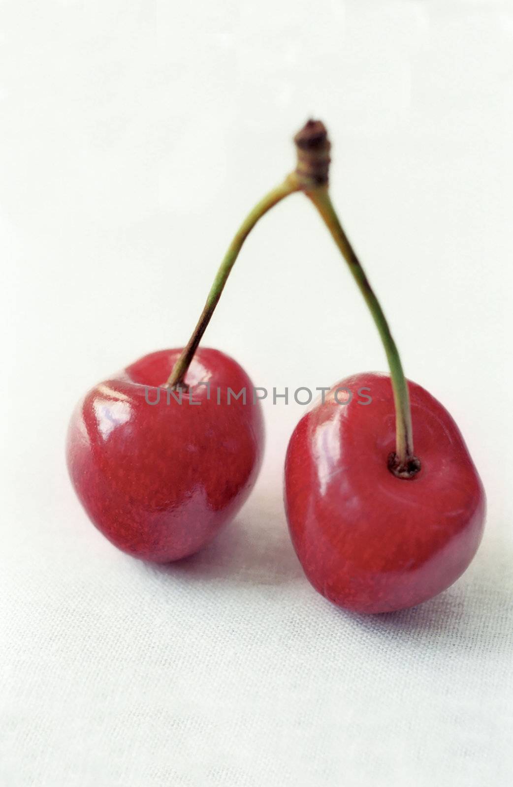 Two red cherries in macro