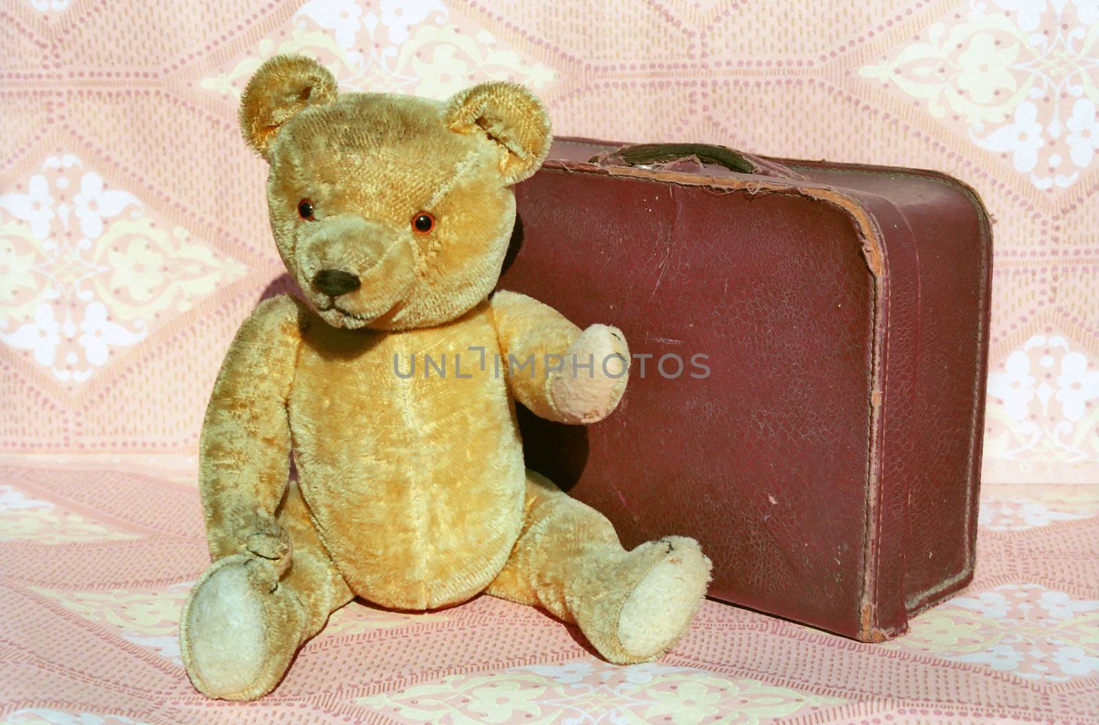 Old Teddy bear and very old leather suitcase