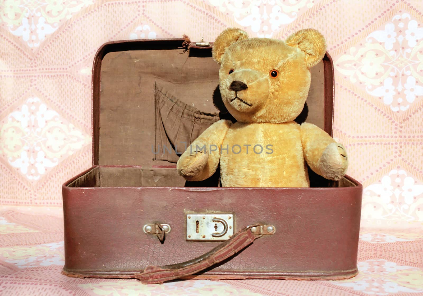 Retro Teddy bear in old shabby suitcase