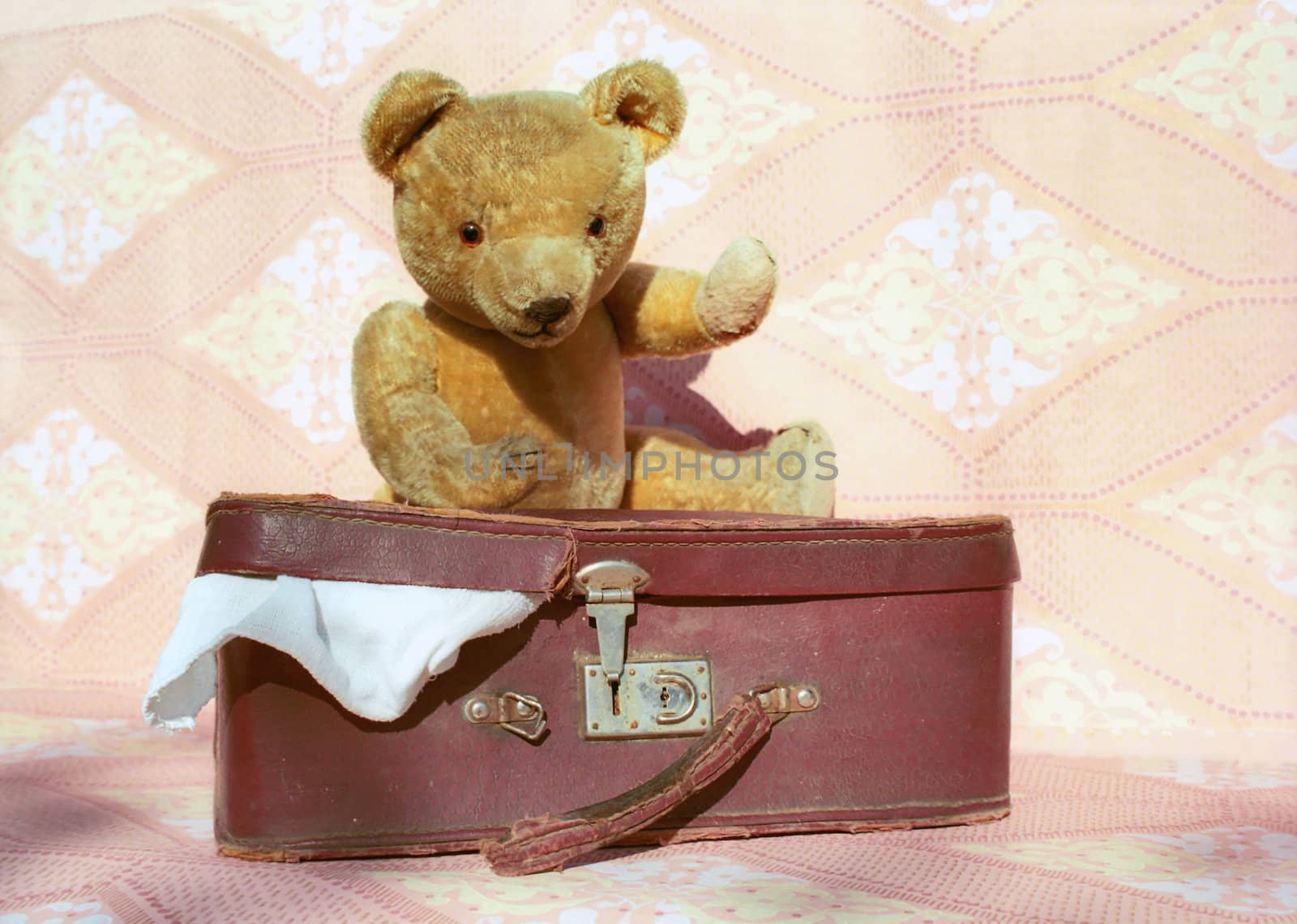 Old Teddy bear packs old suitcase