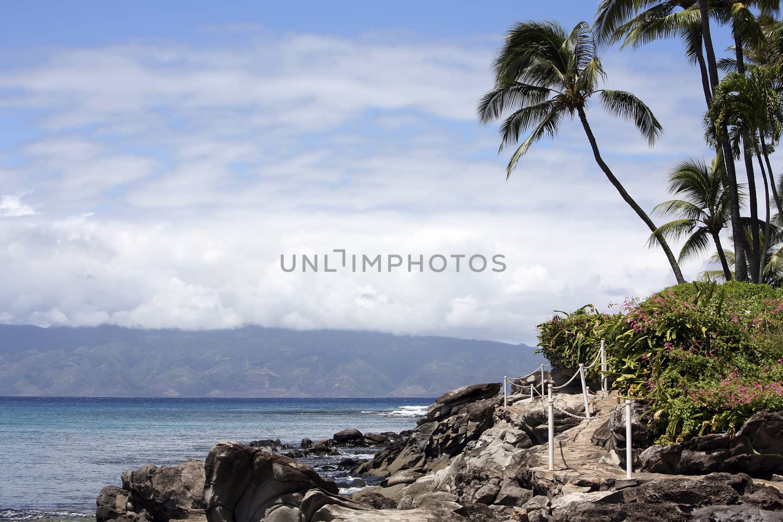 Hawaii Beach by csabafikker