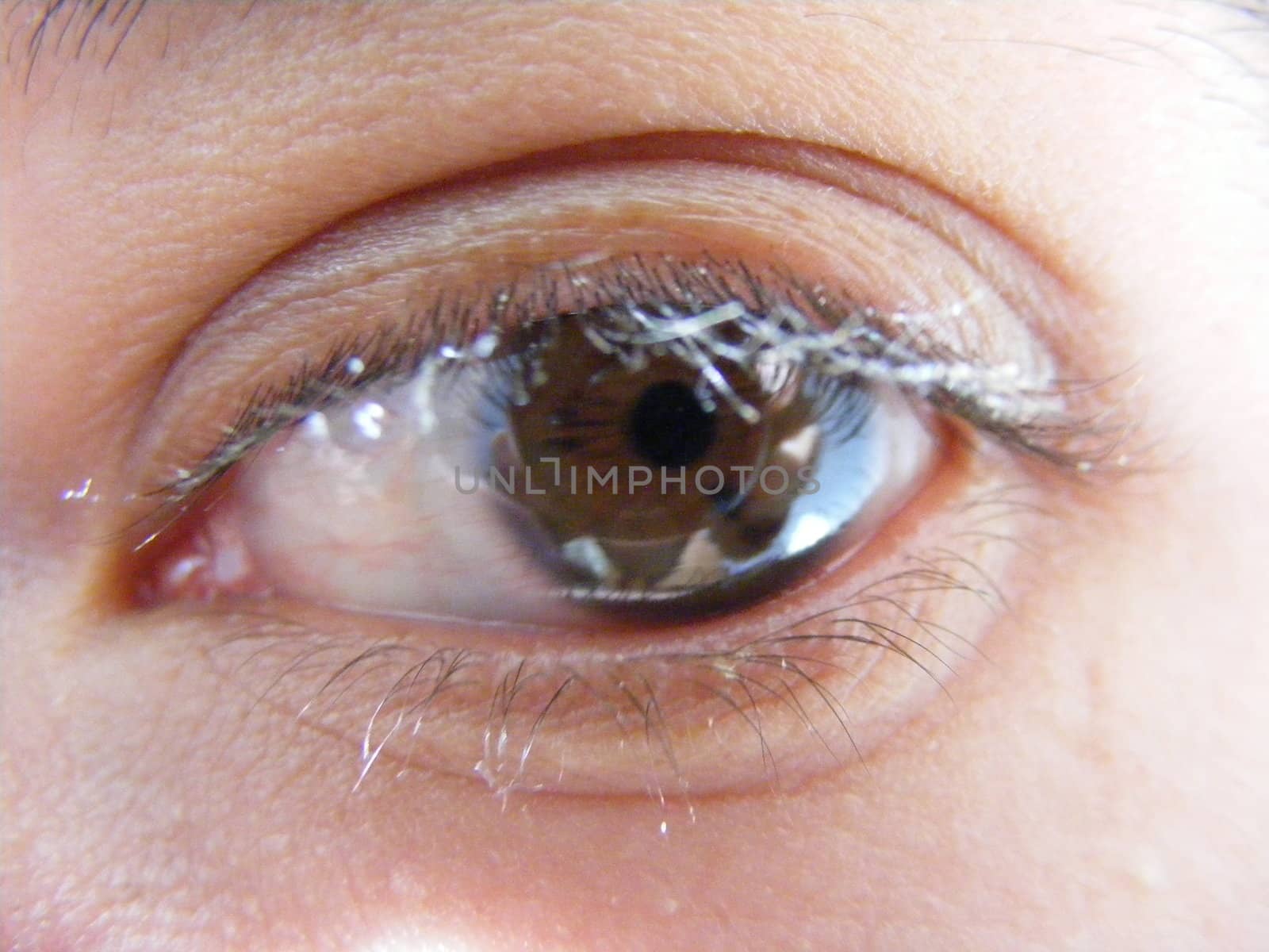 Eye with contact lens by hayaship