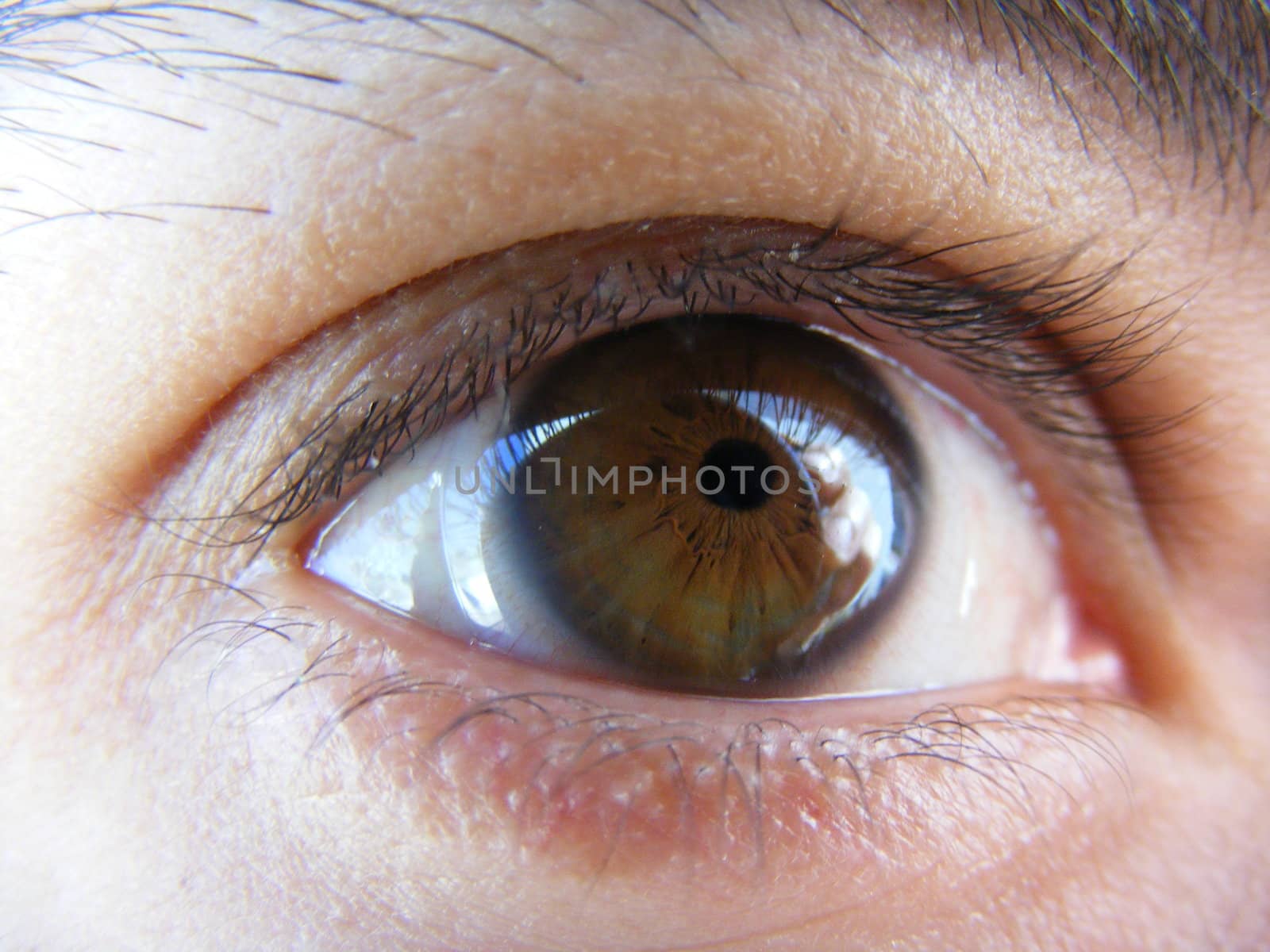 Eye with contact lens by hayaship