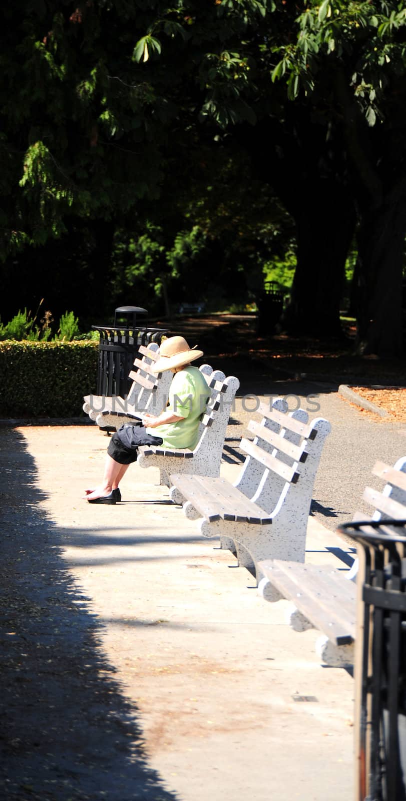 Woman sitting and reading on a park bench.