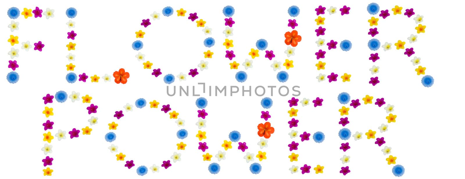 The words flower power made of bright flowered candles, isolated on a white background