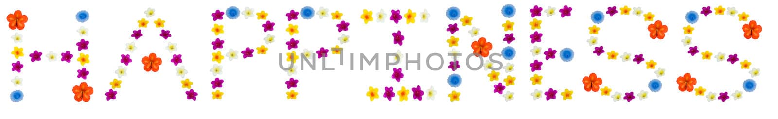 The word happiness made of flowered candles, isolated on a white background