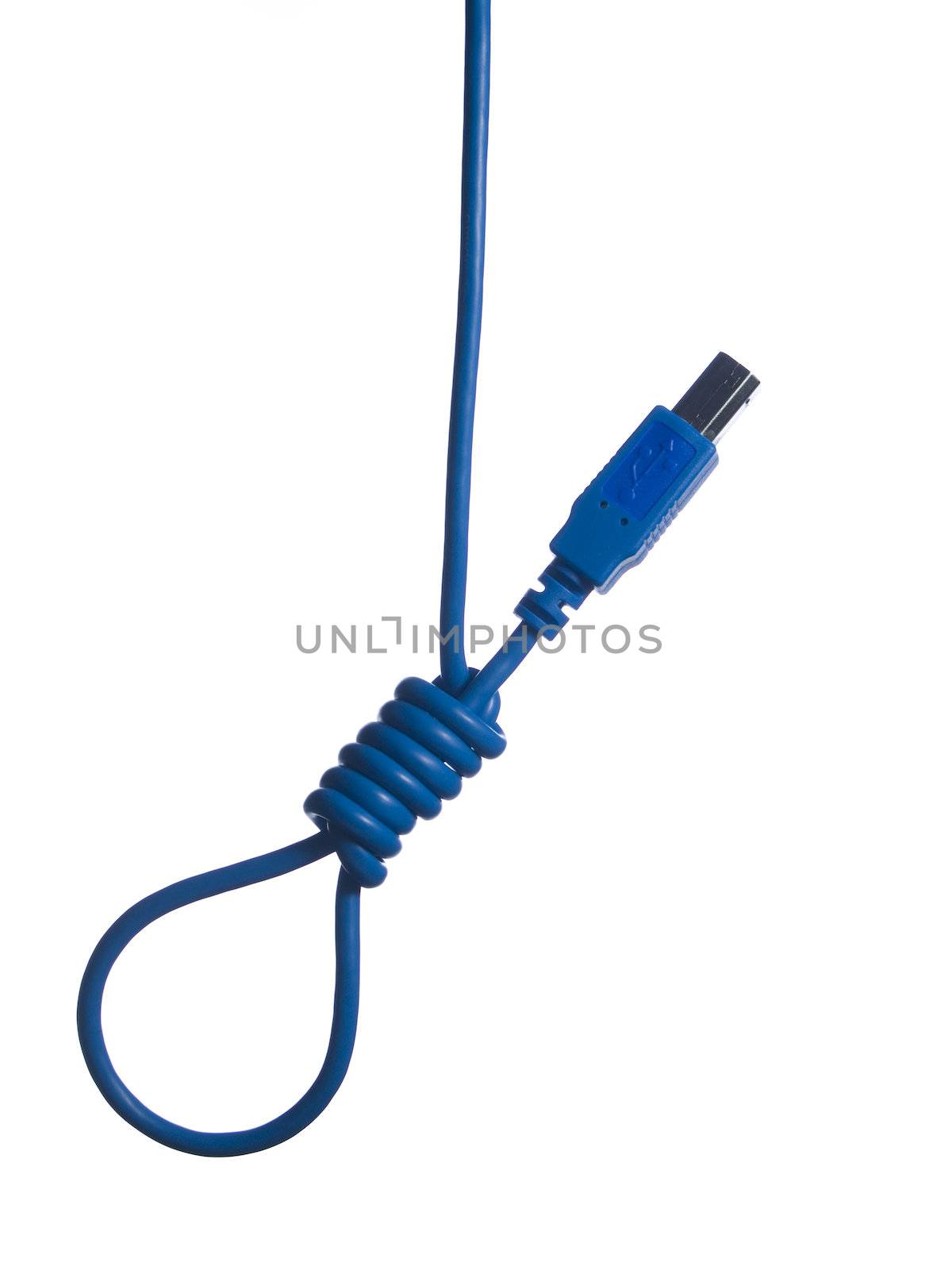 An isolated gallows�s rope made out of a blue USB wire.