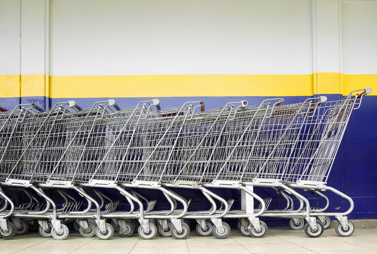 Line of Shopping Carts by Creatista