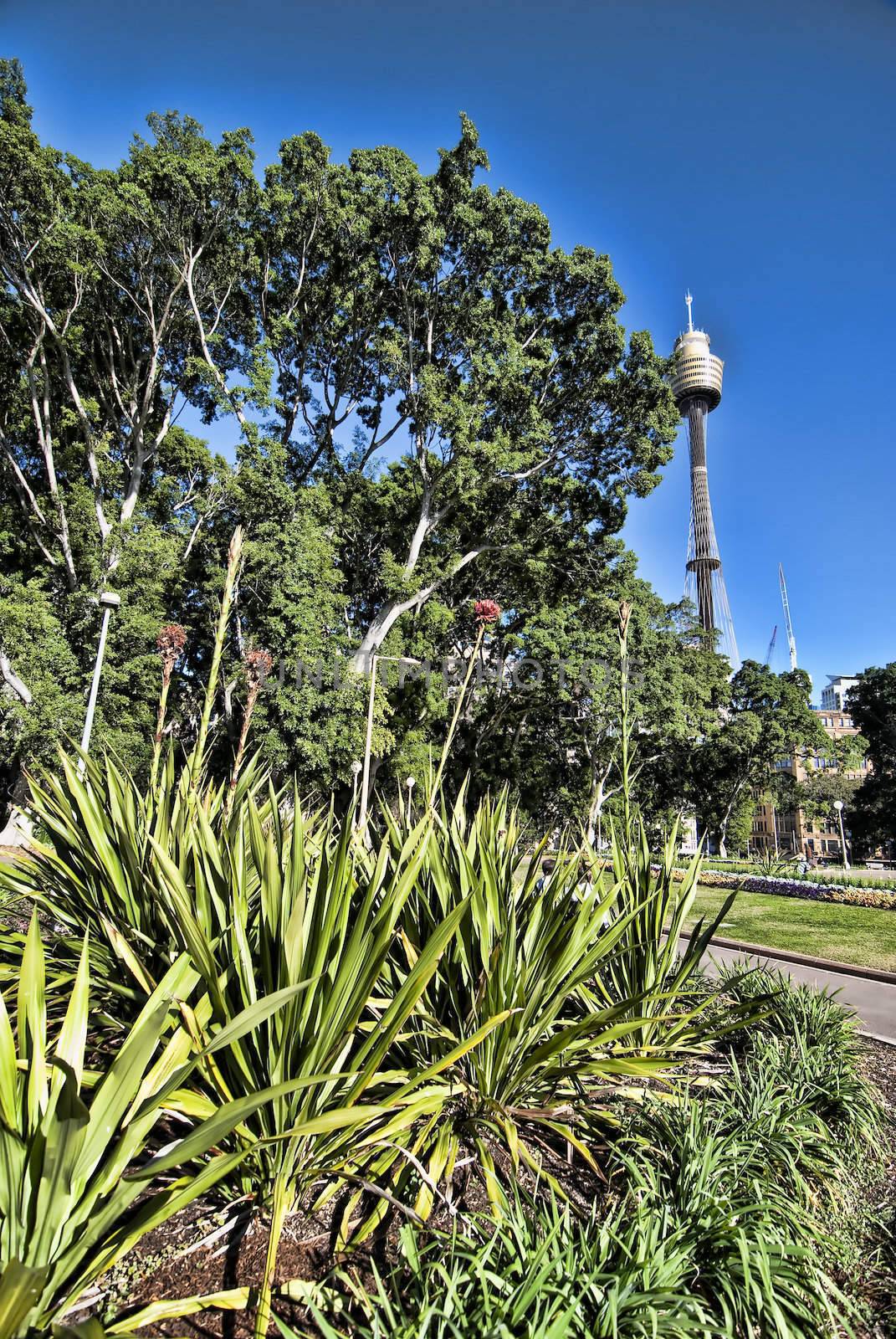 Detail of Downtown Sydney, Australia, August 2009