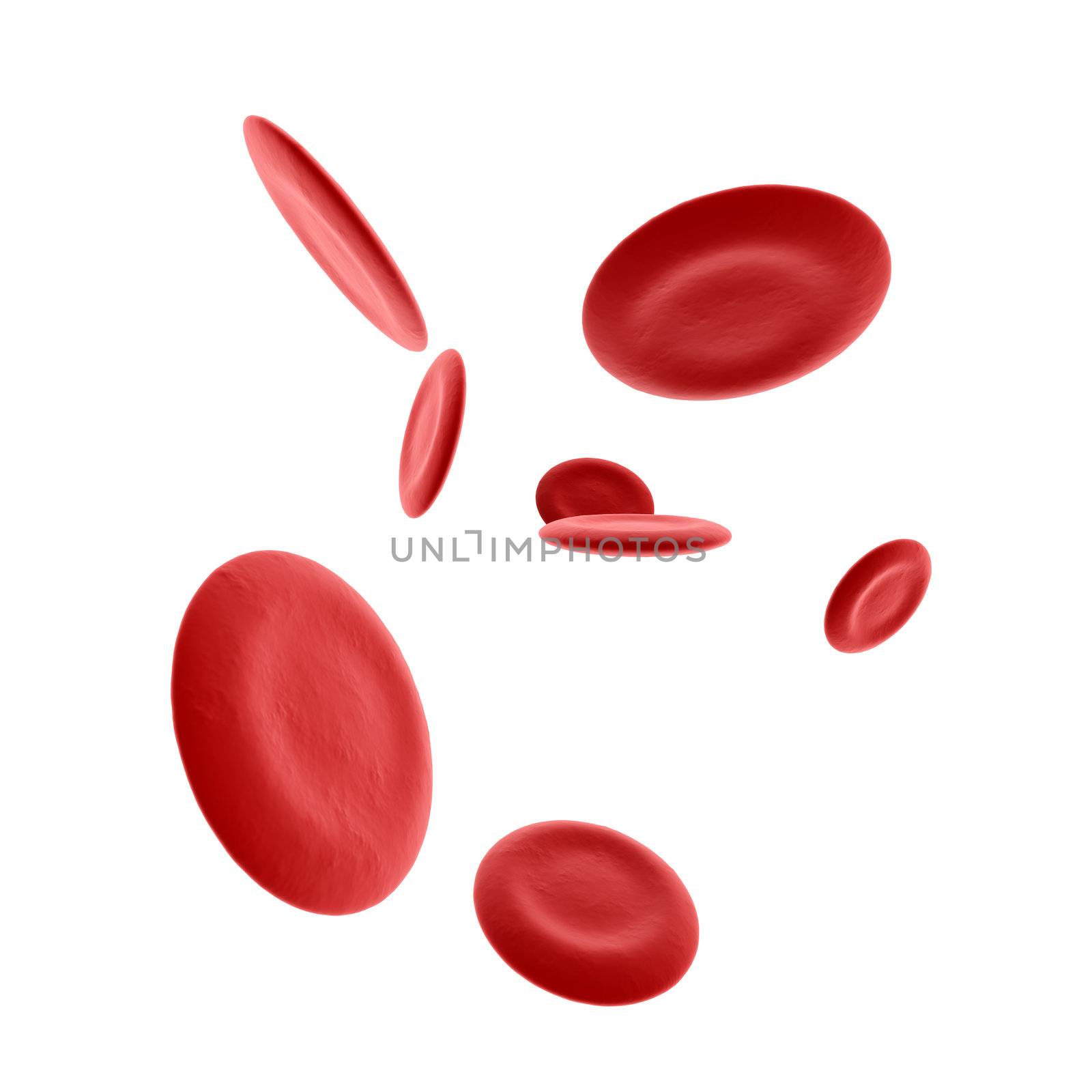 Hemoglobin Cells by Spectral