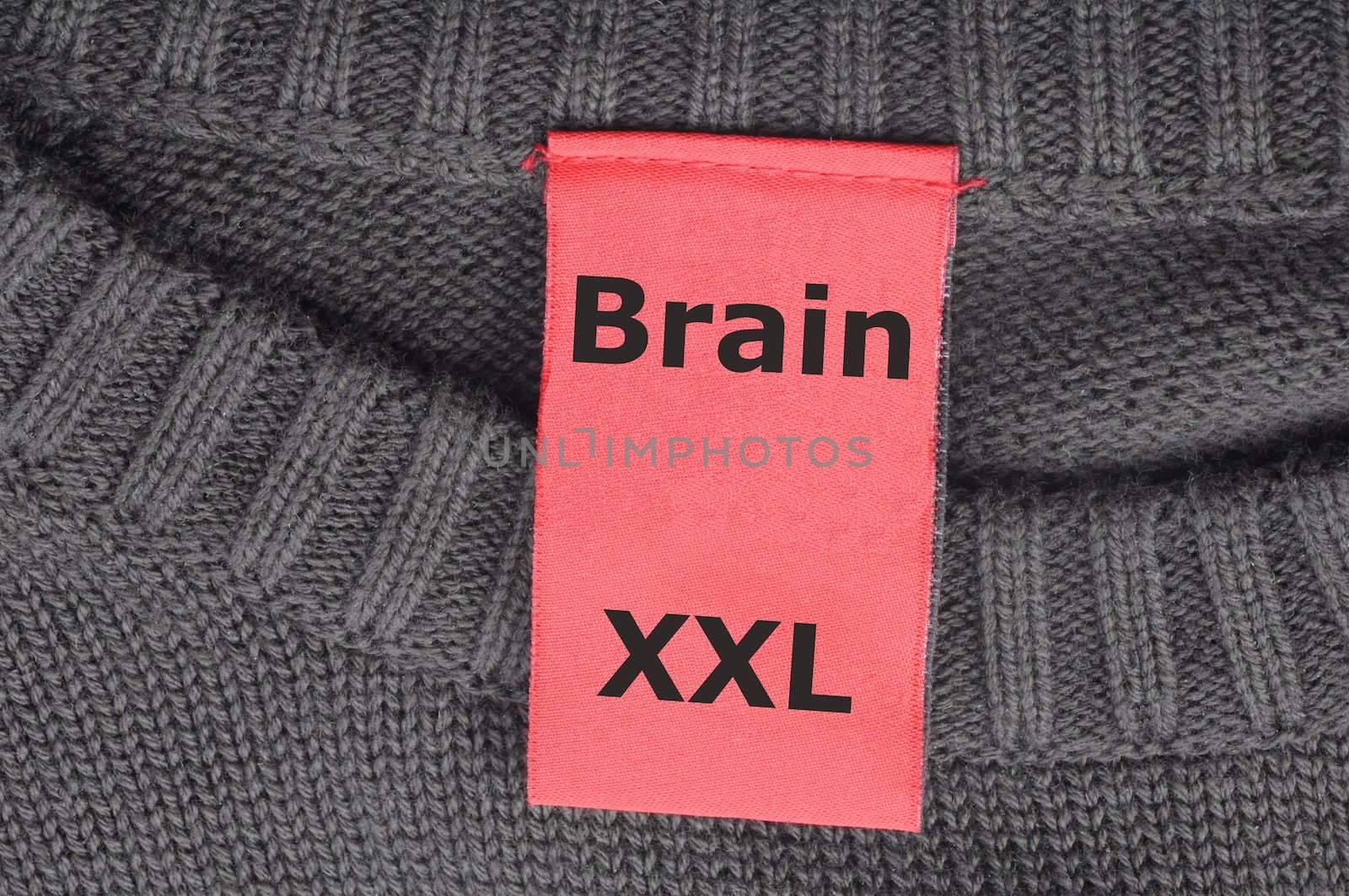 education concept with the word brain on a fashion label or tag and copyspace
