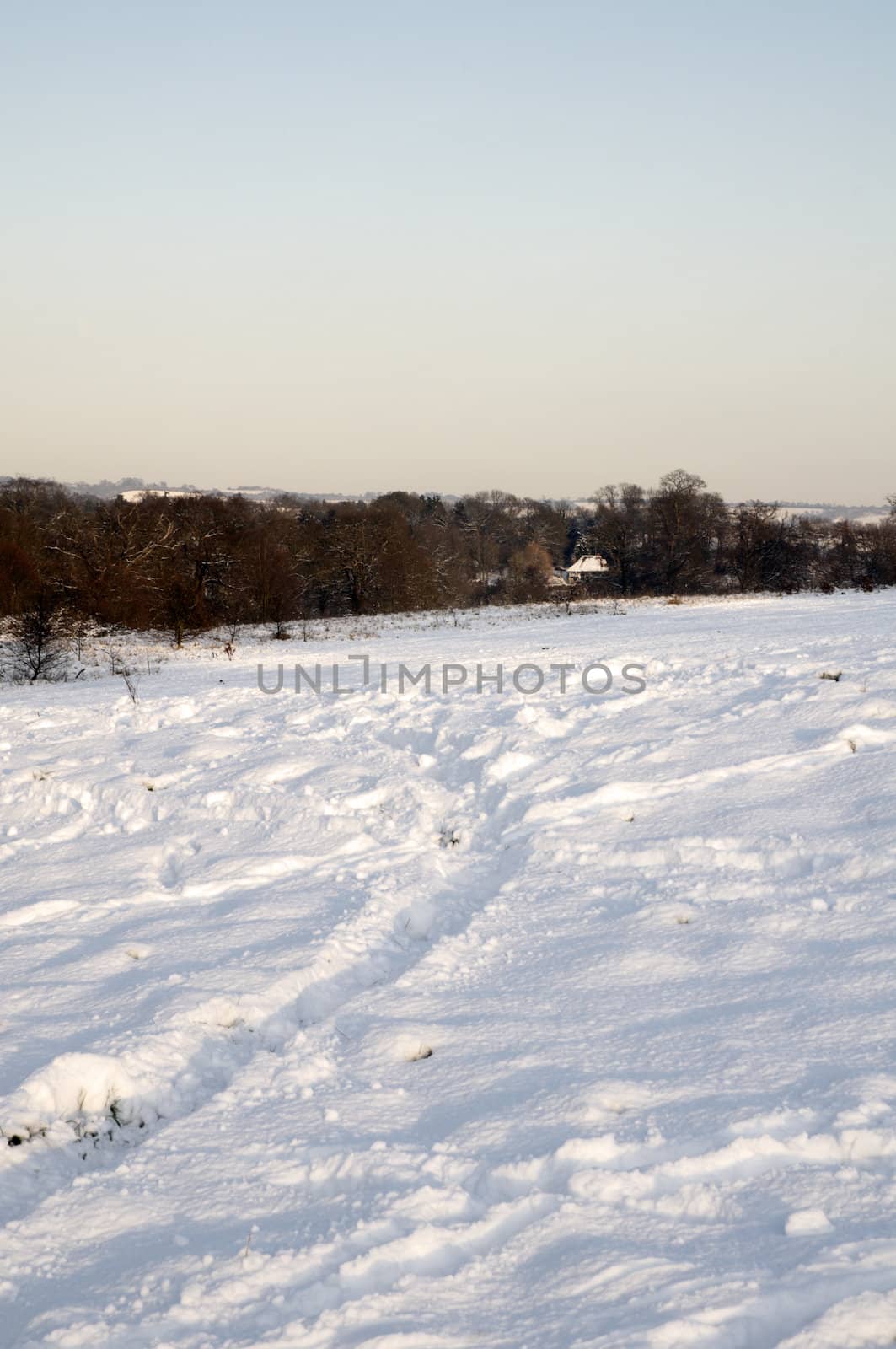 A view of a park covered in snow on the ground and trees