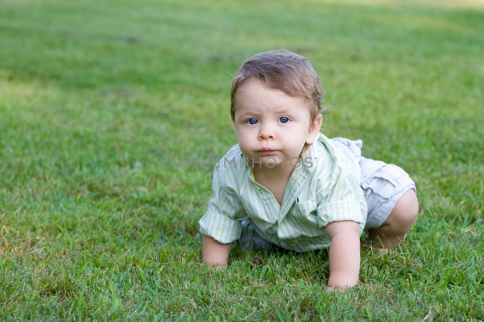 Cute young baby crawling through the green grass.