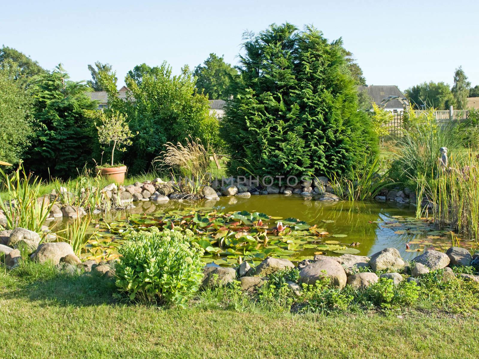 Beautiful decorative home garden fish pond with water lilies