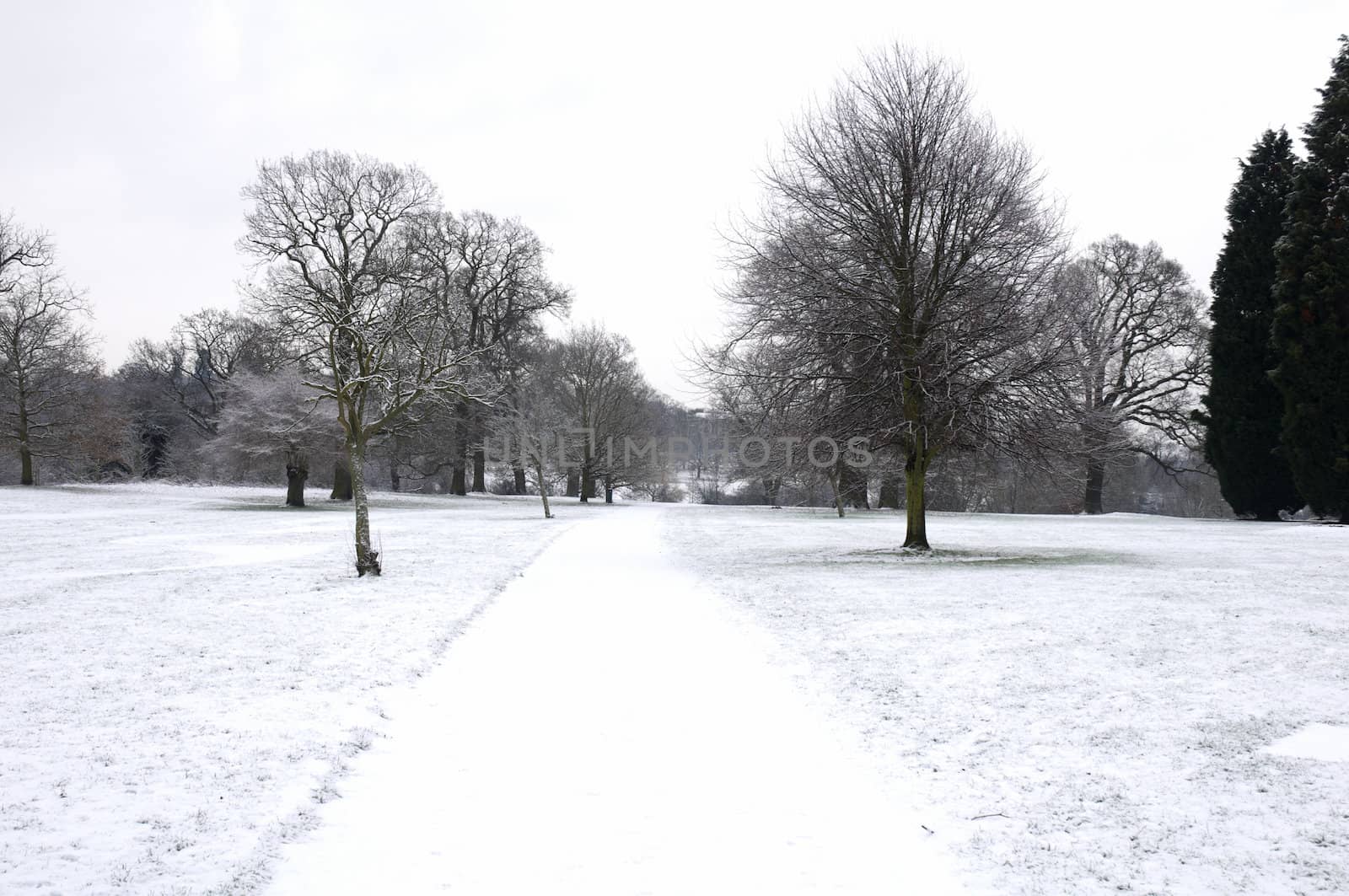 A path in a park covered in snow with trees in the background