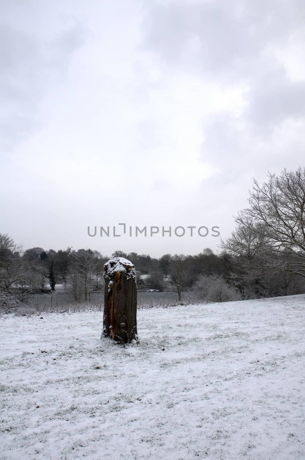 A tree stump a park covered in snow with trees in the background