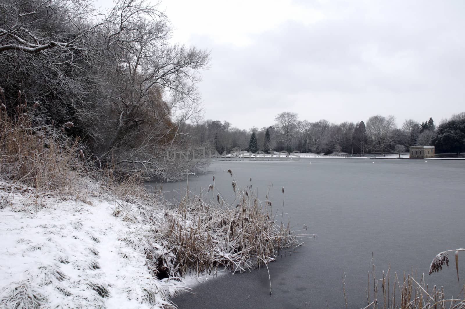 A view of a lake in winter with snow