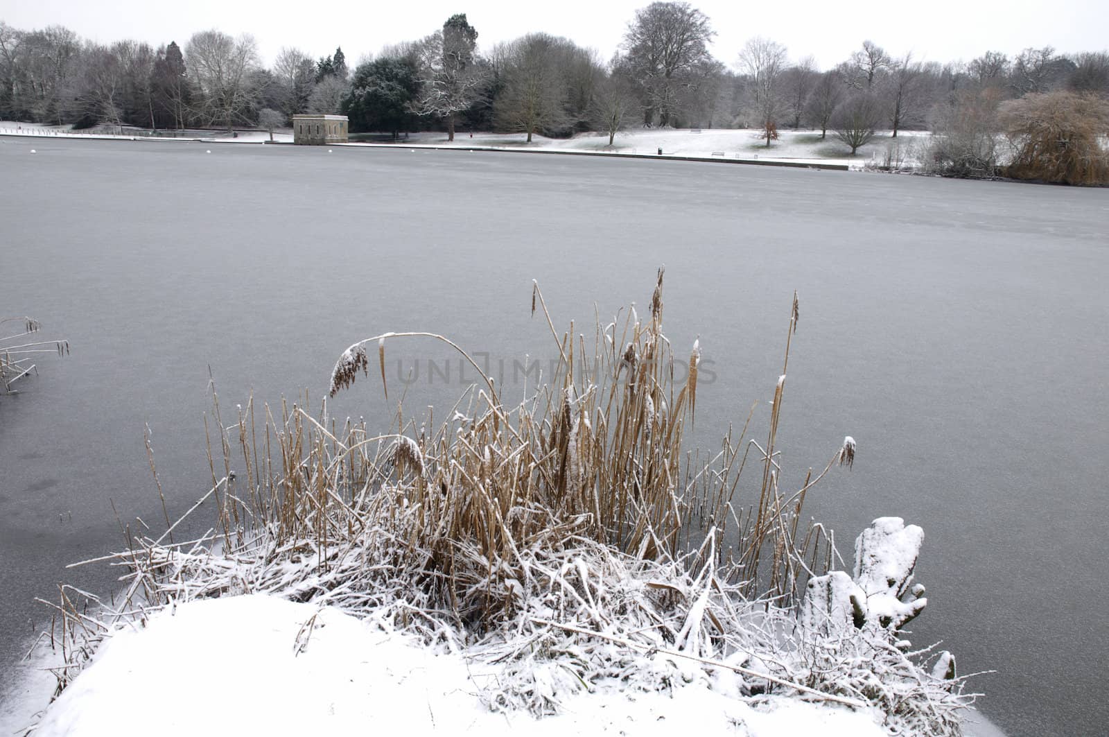 A view of a lake in winter with snow