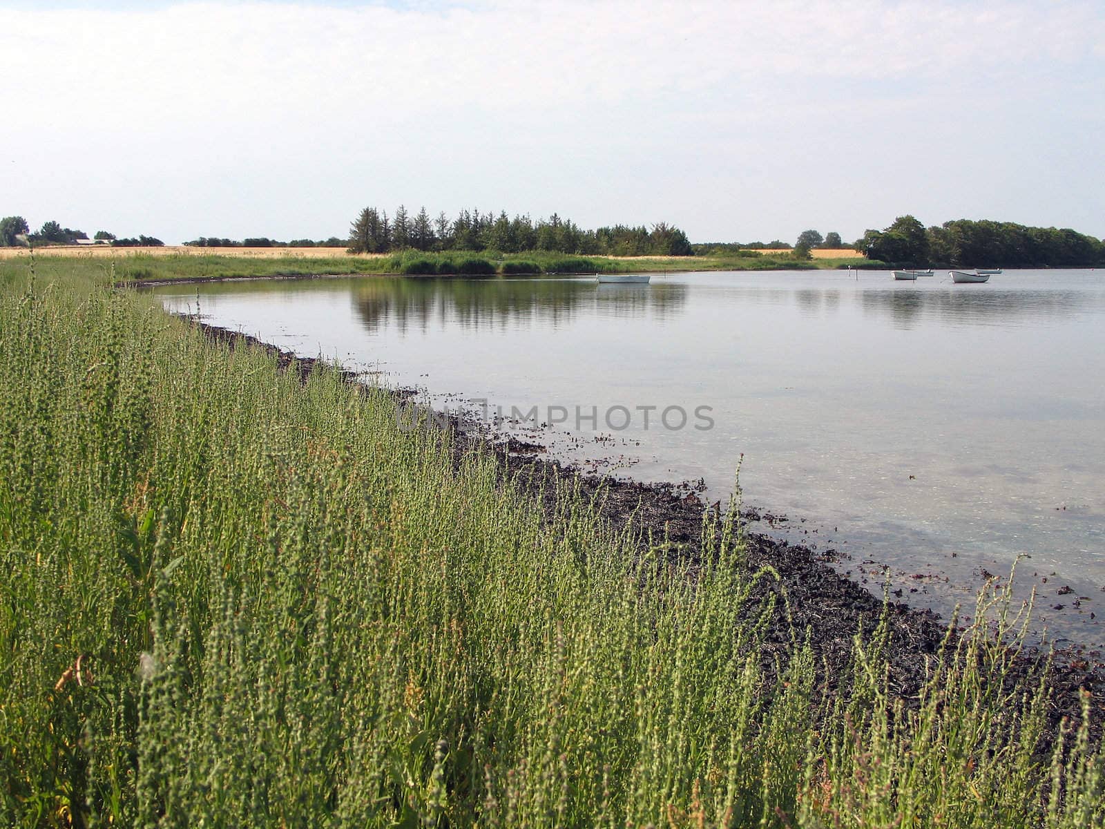 Calm sea landscape Middelfart Funen Denmark