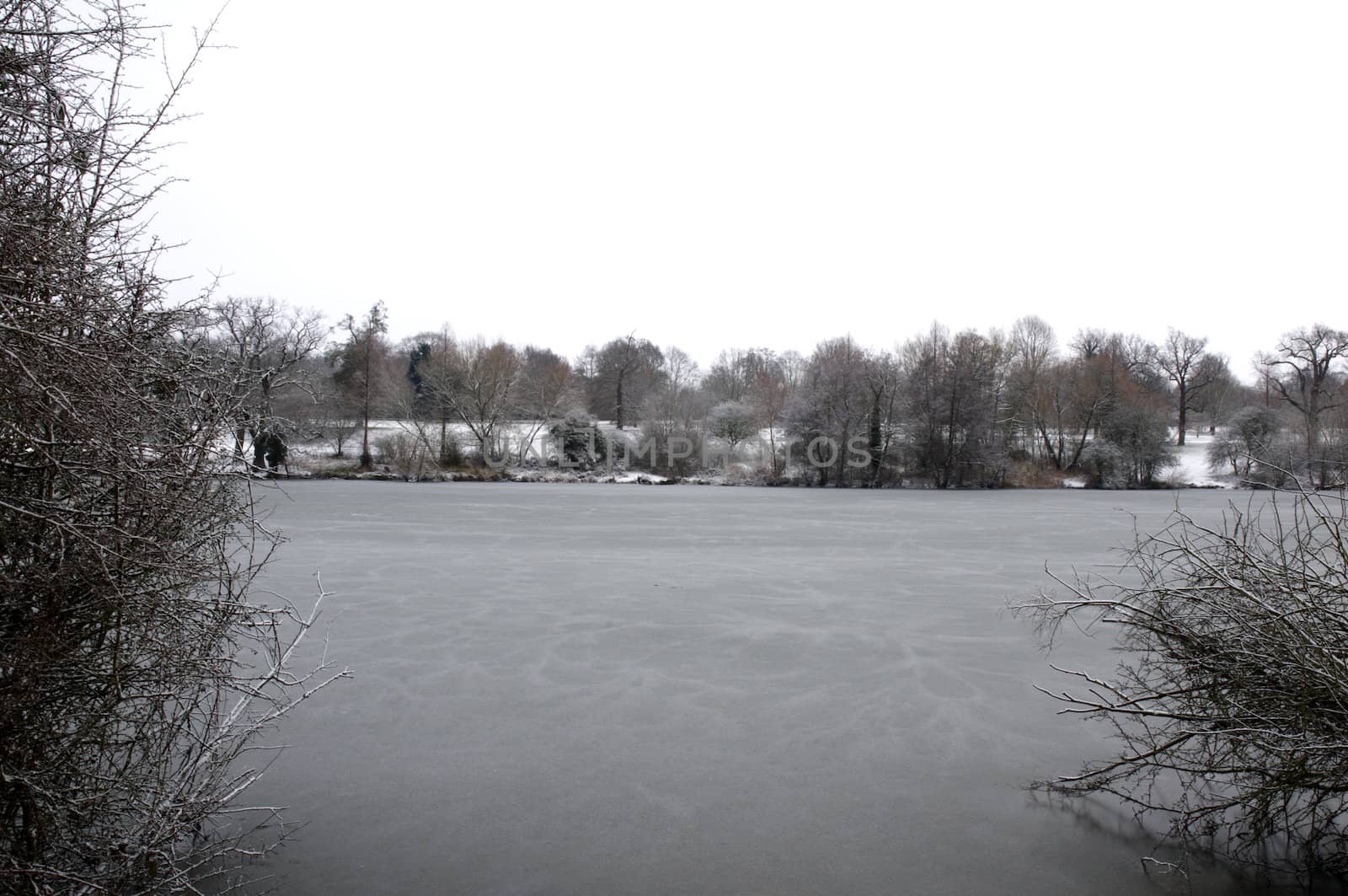 A view of a lake in winter with snow