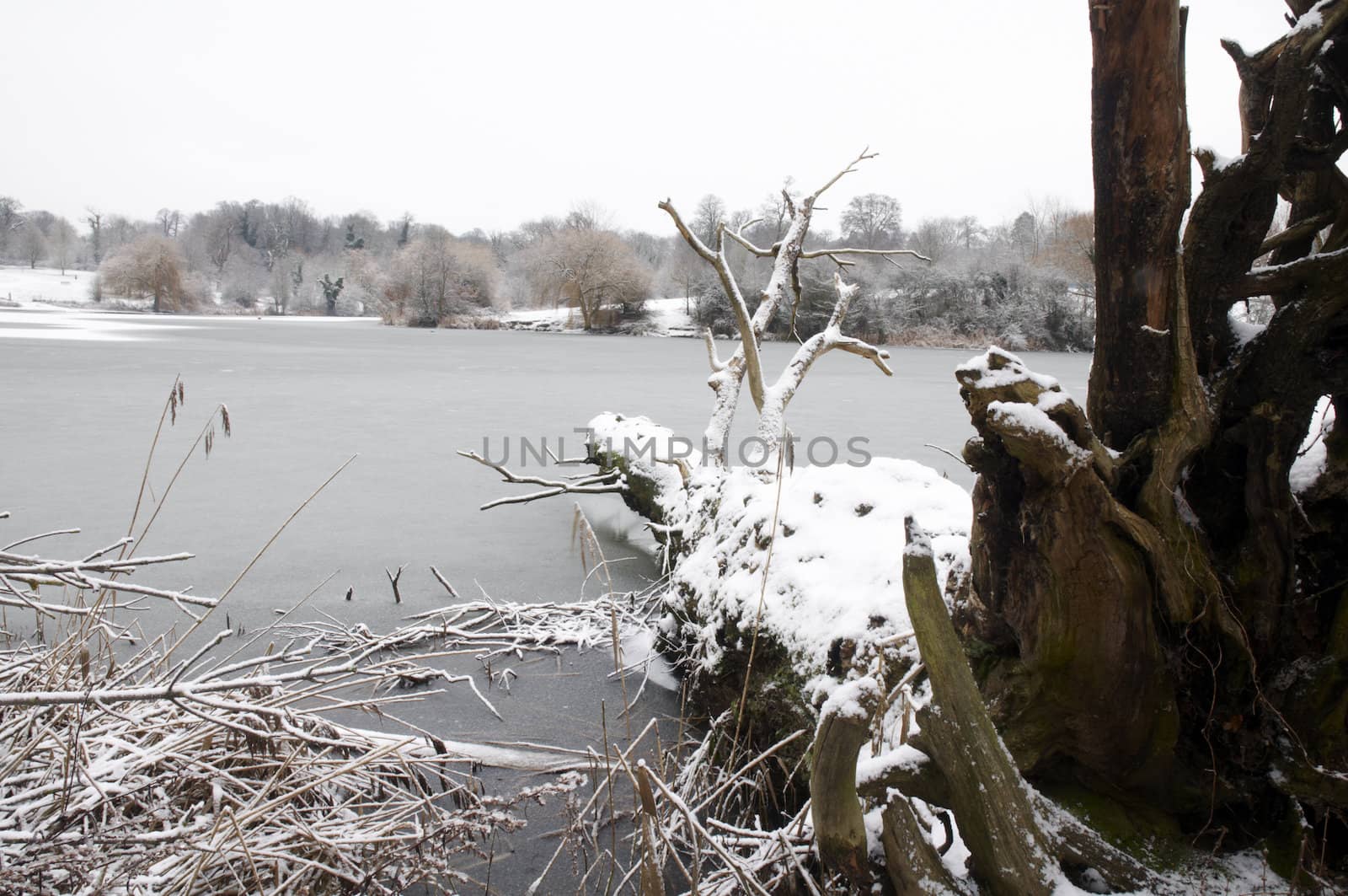 A view of a lake in winter with snow