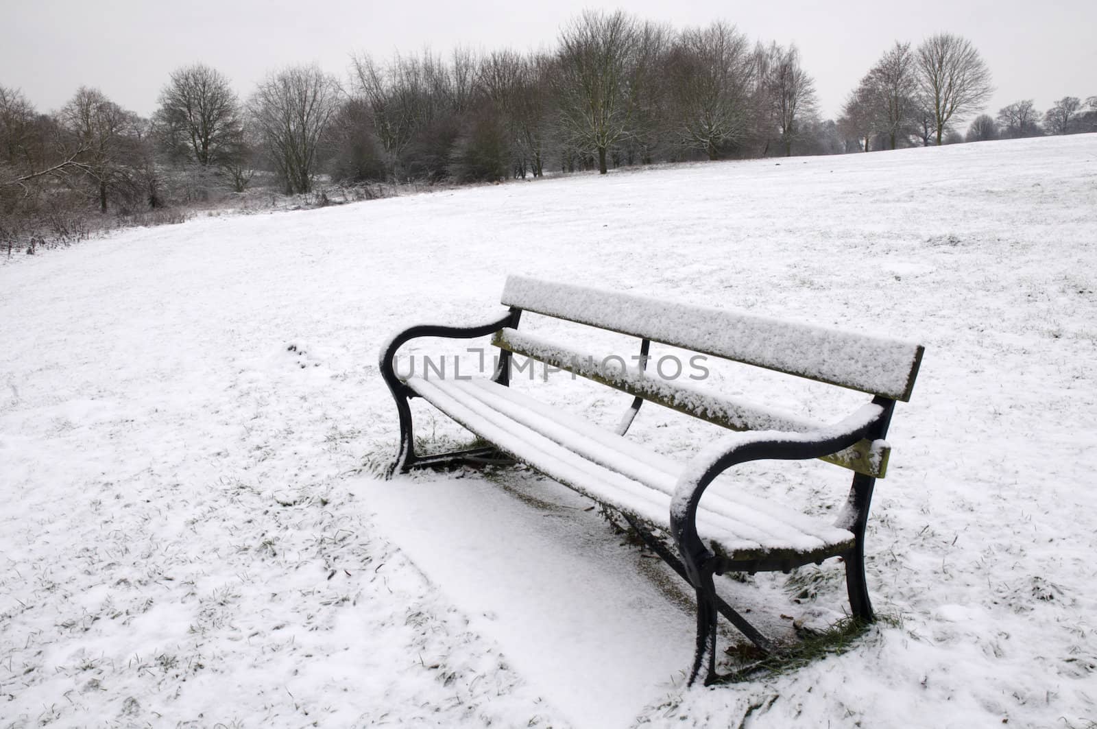 A path bench in a park covered in snow with trees in the background