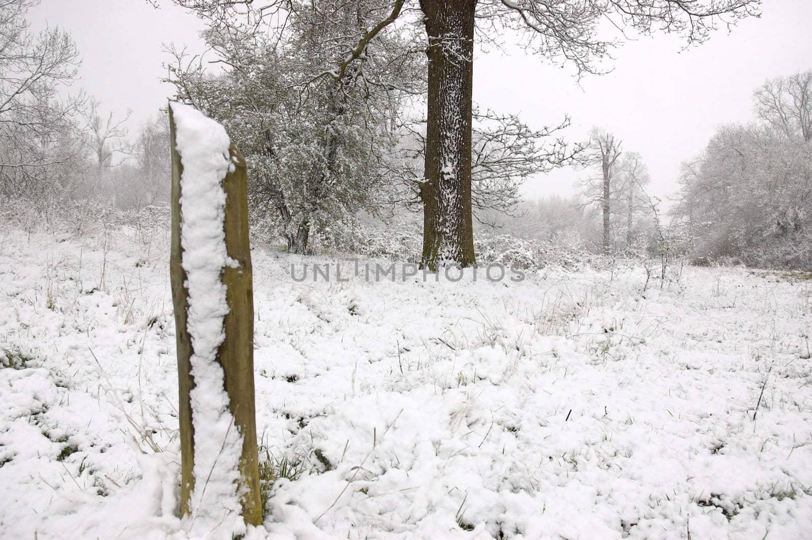 Snow on the side of a post in winter