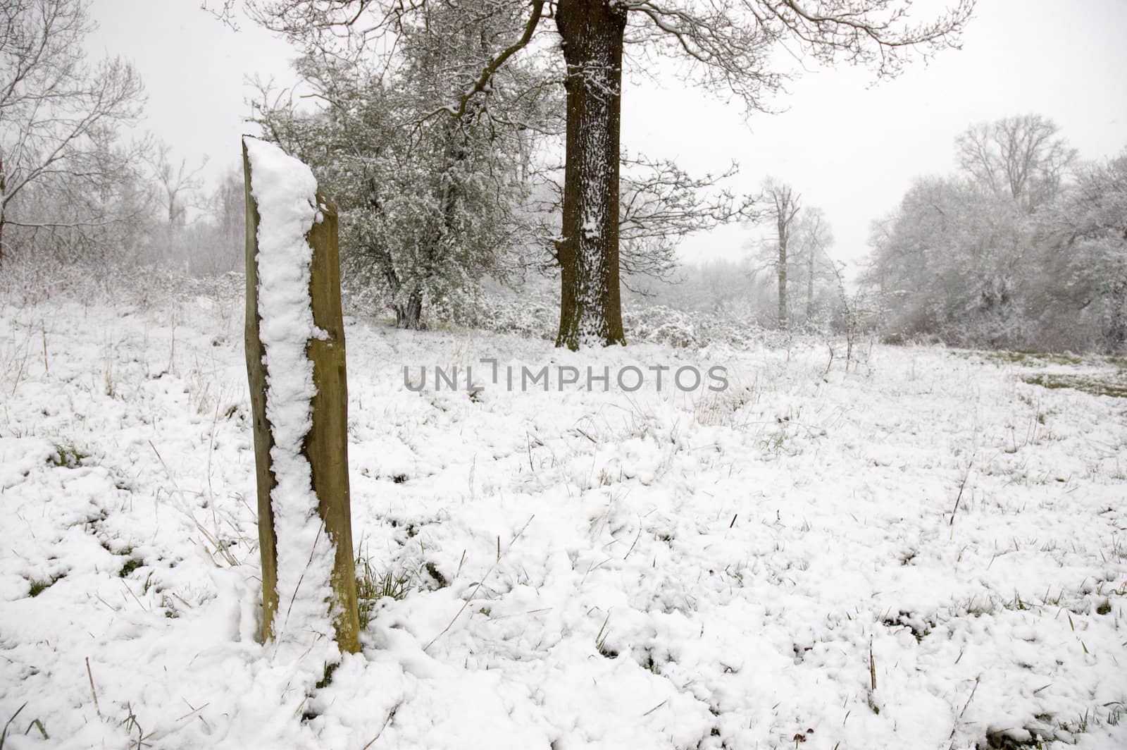 Snowy pole by mbtaichi