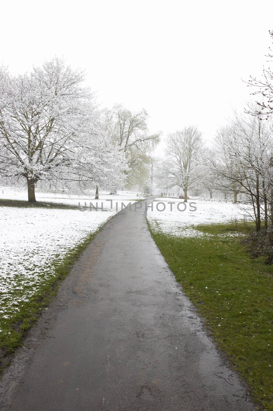 A footpath in winter with snowcovered trees and grass