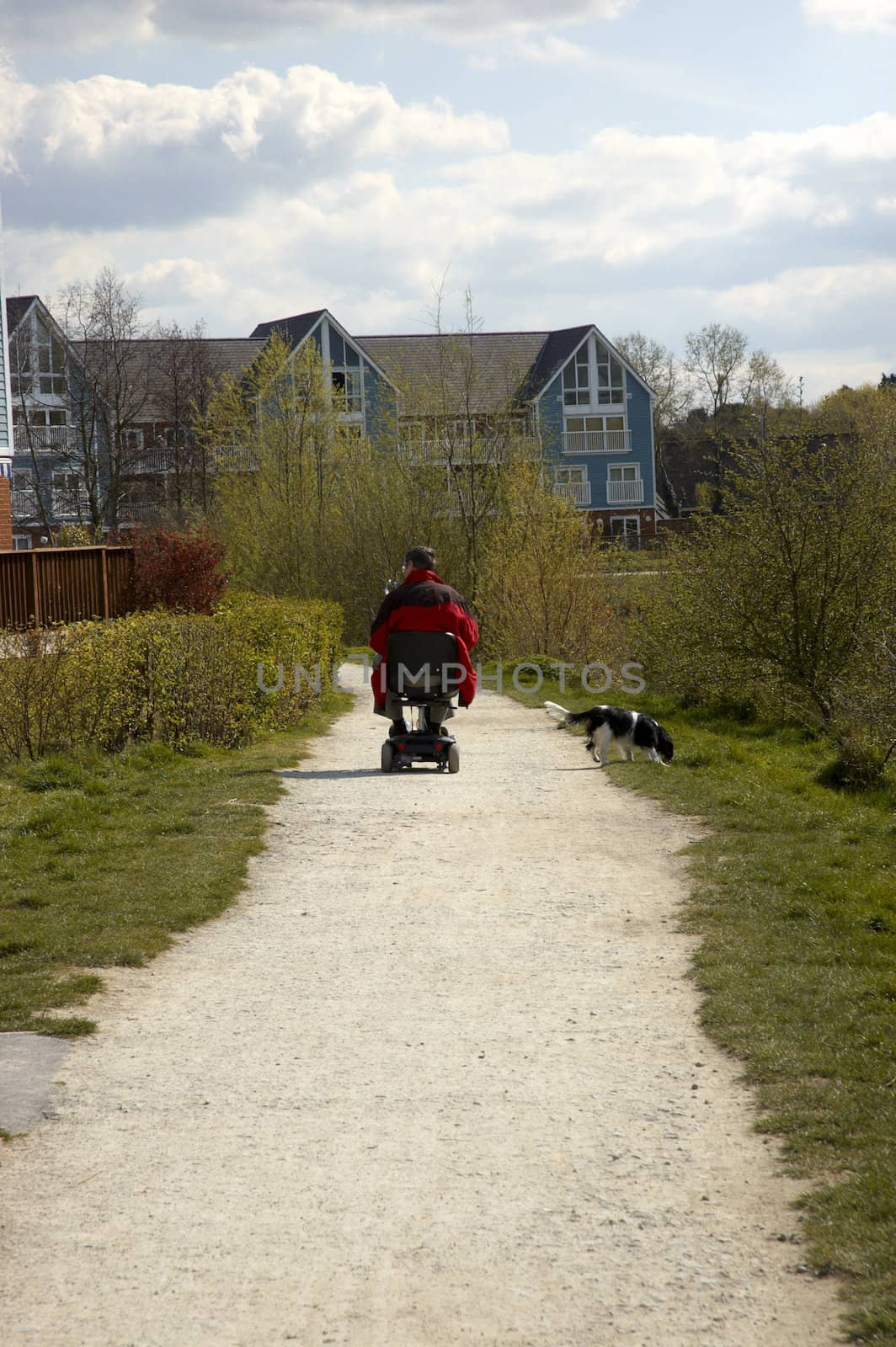 A disabled person walking their dog