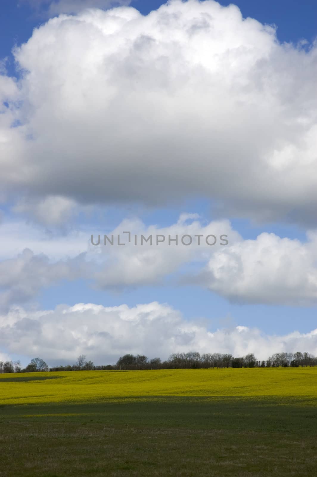 A view of farm land in Kent