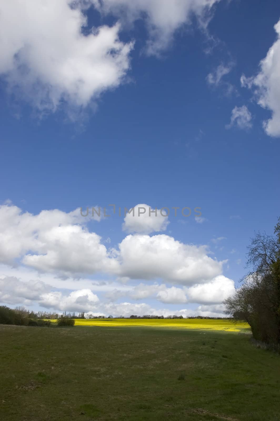 A view of farm land in Kent