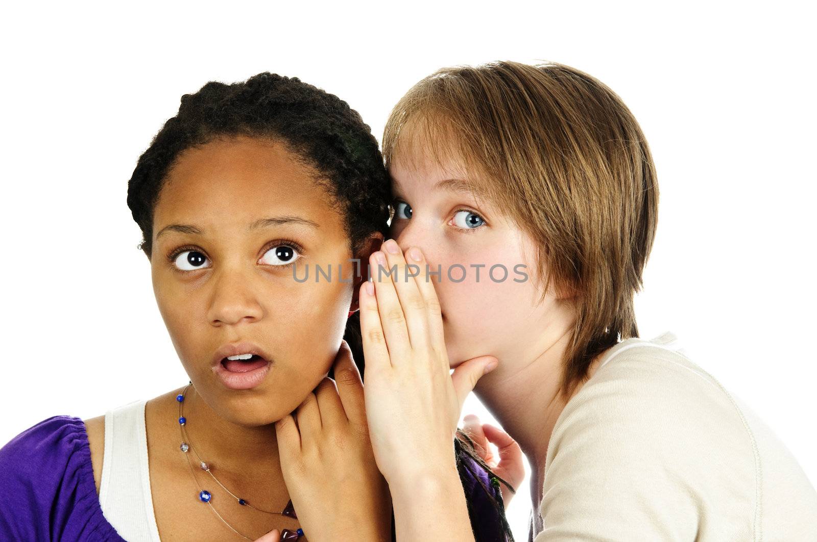 Isolated portrait of two diverse teenage girl friends gossiping