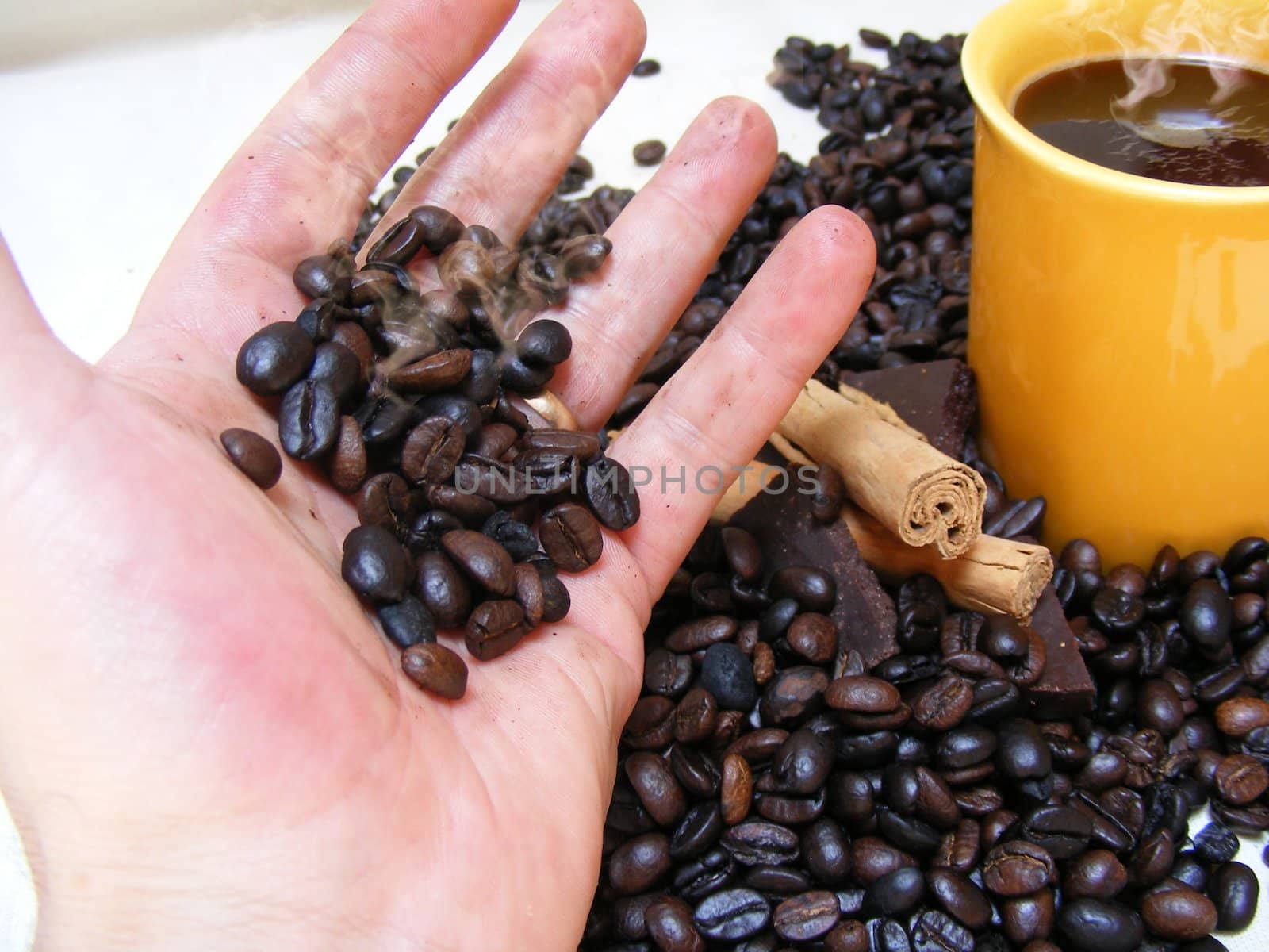 coffee cup with beans,chocolate and cinnamon