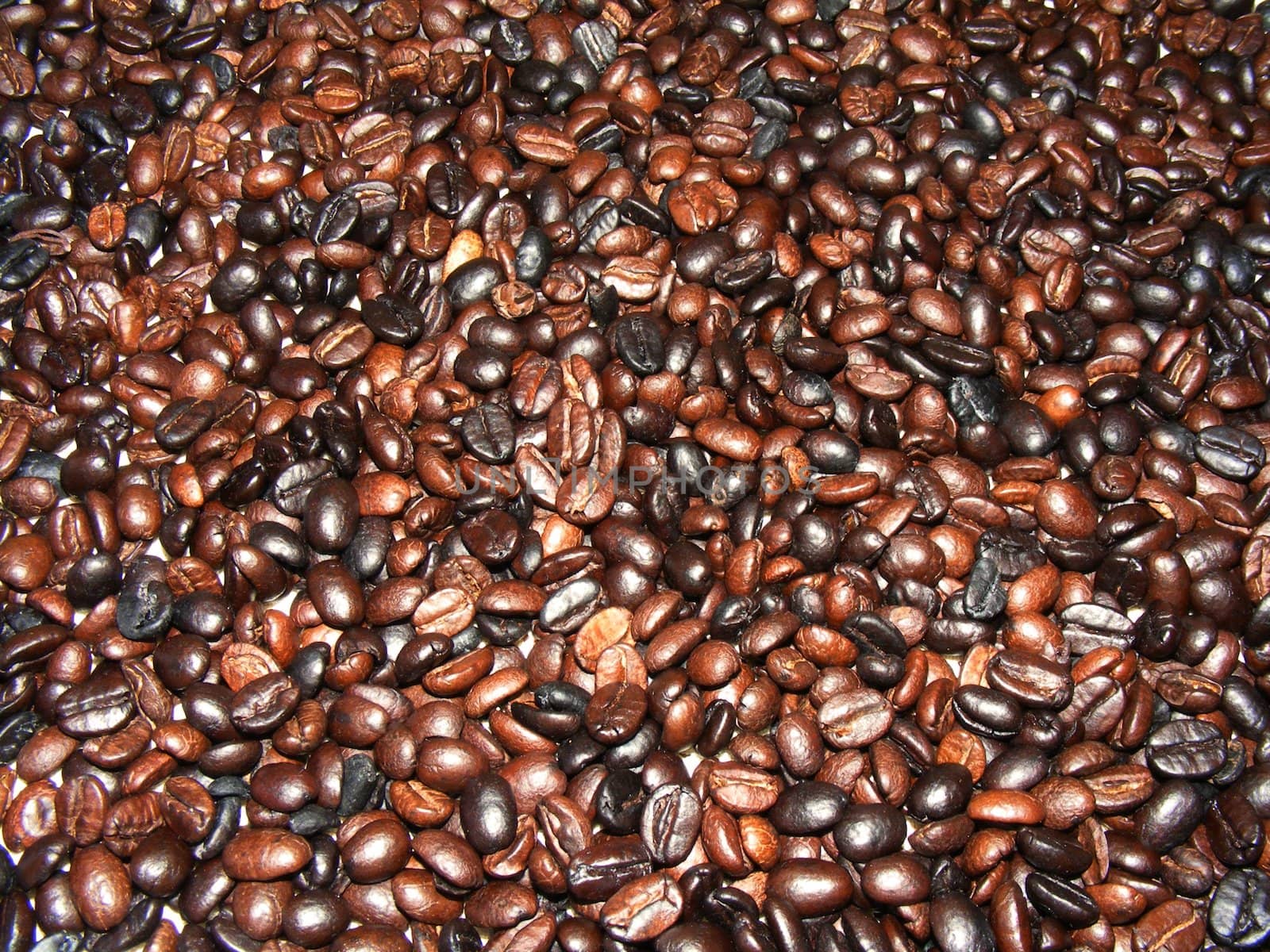 coffe beans background by hayaship