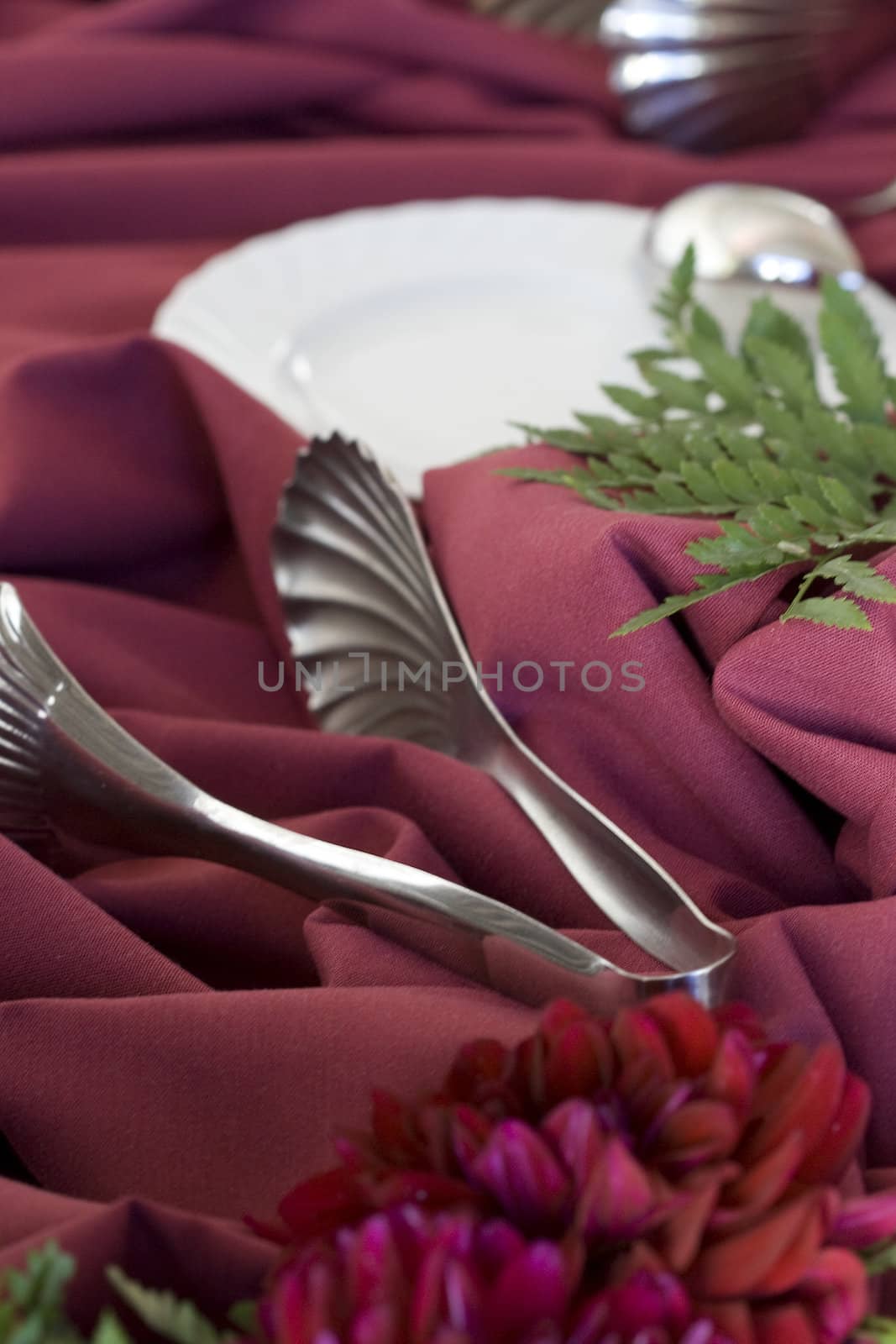 wedding utensils by LWPhotog