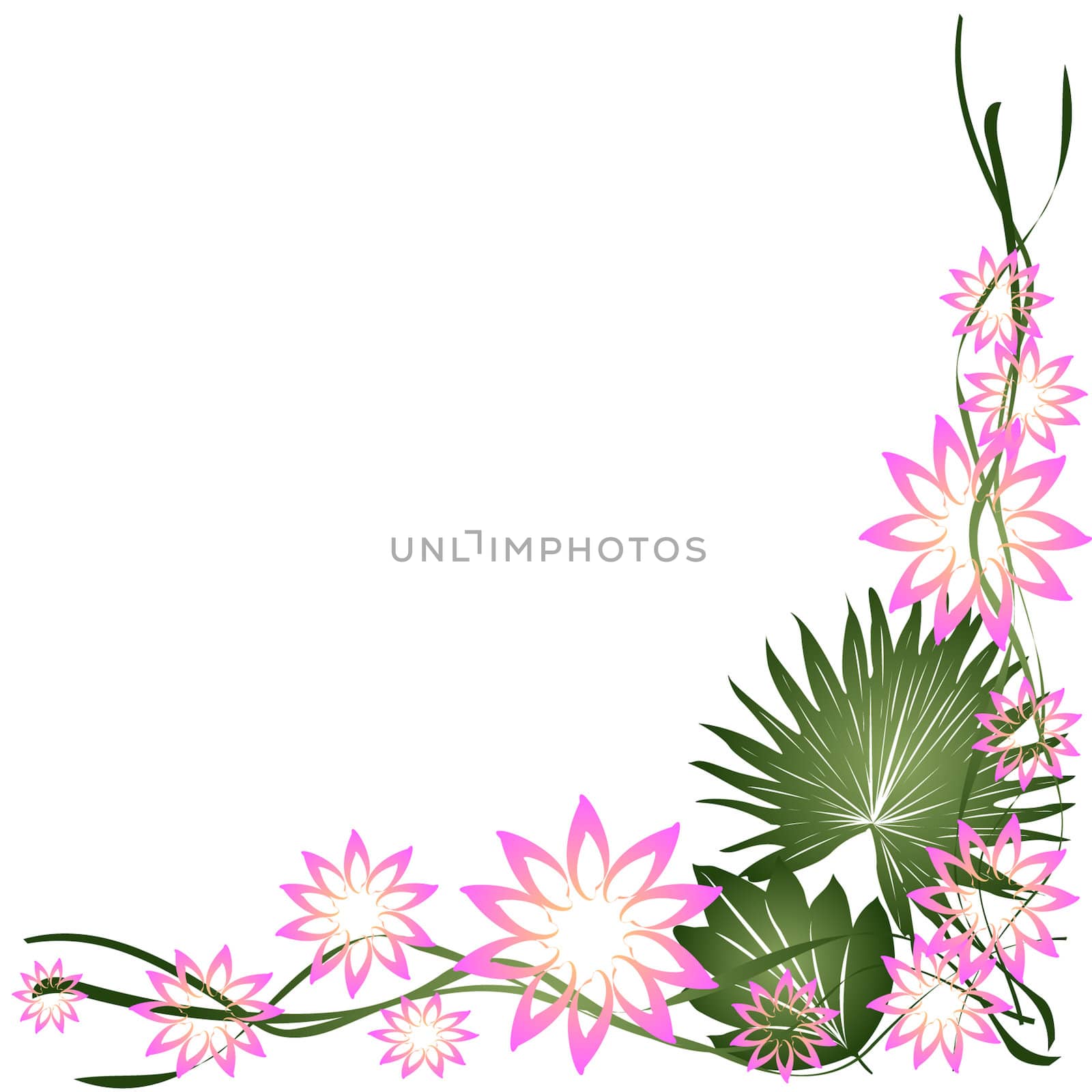 Floral frame, border on white background