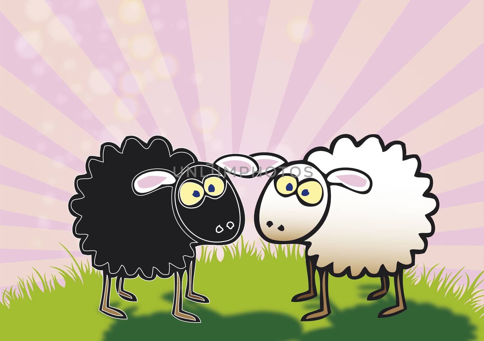 A hand drawn illustration of one black and one white coloured sheep. Both staring at each other.