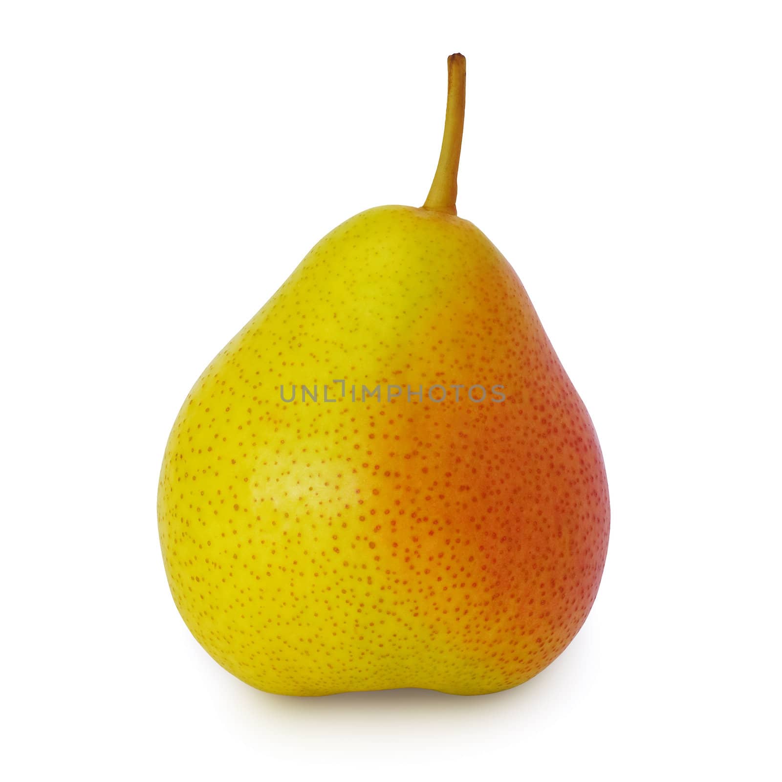 single perfect pear on white background