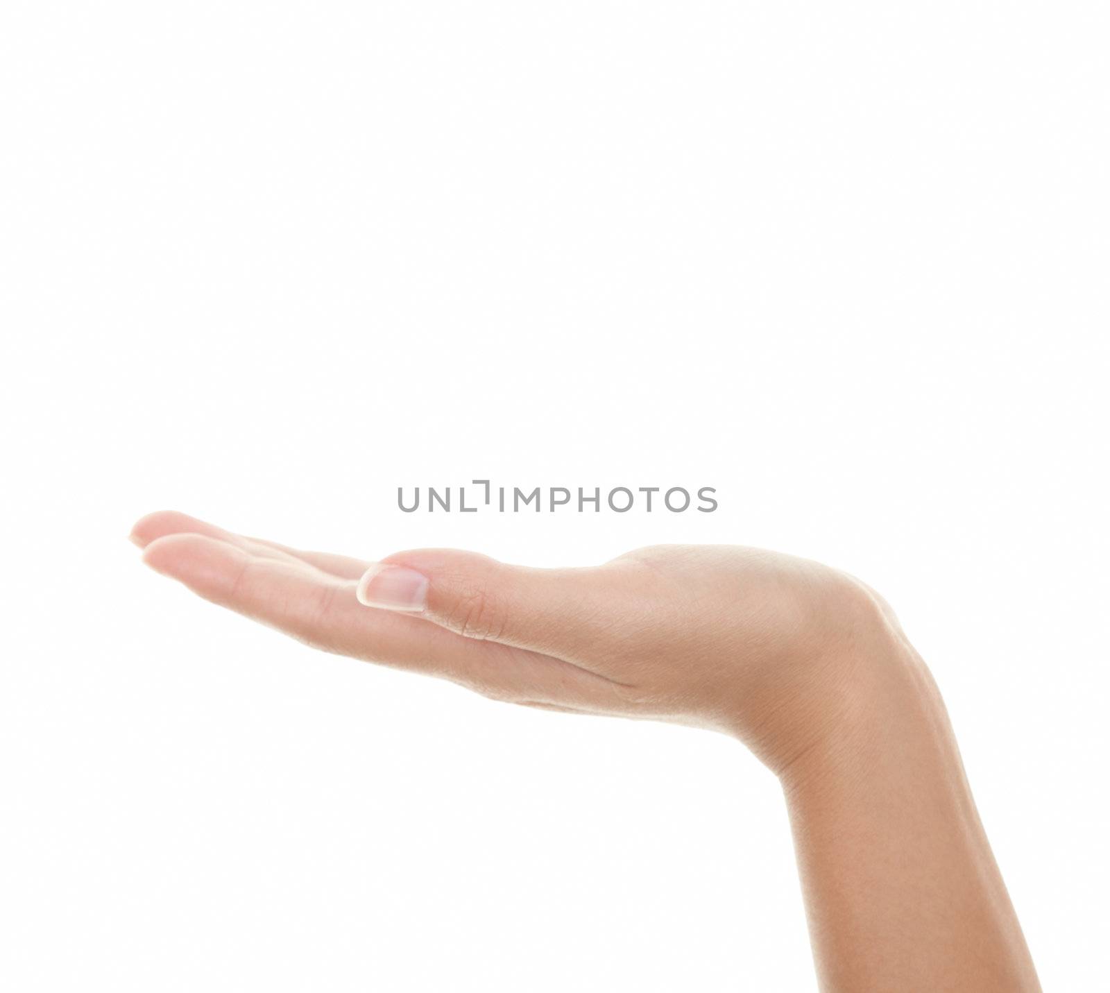 Empty hand palm showing your product. Brightly lit with back-light. Female hand isolated on white background. 